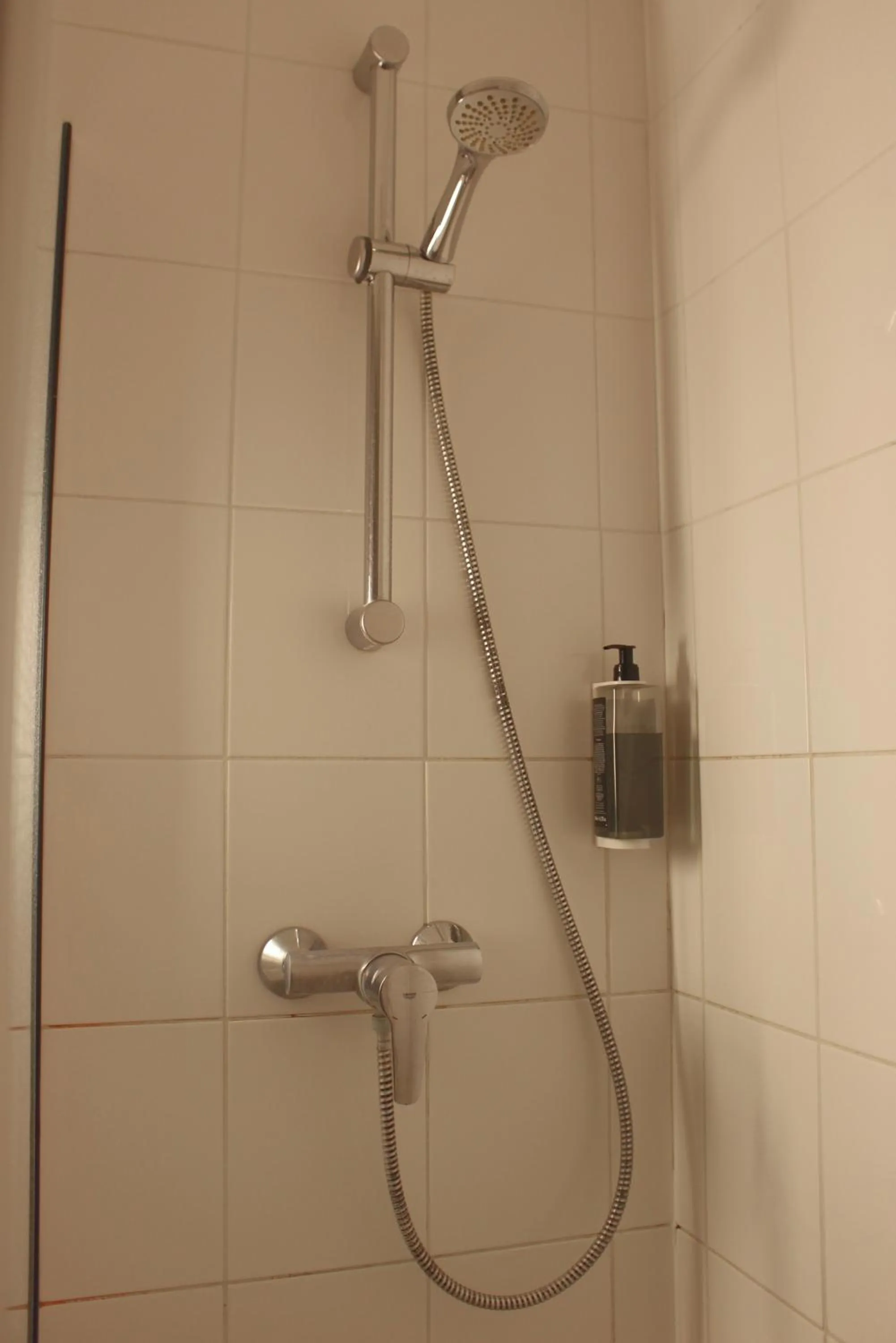 Shower in ibis Dijon Sud