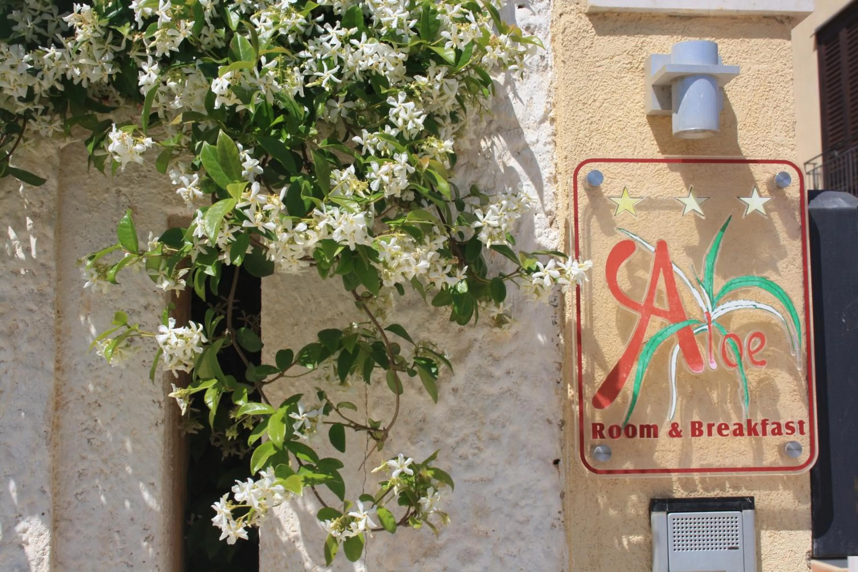 Decorative detail in Affittacamere Aloe