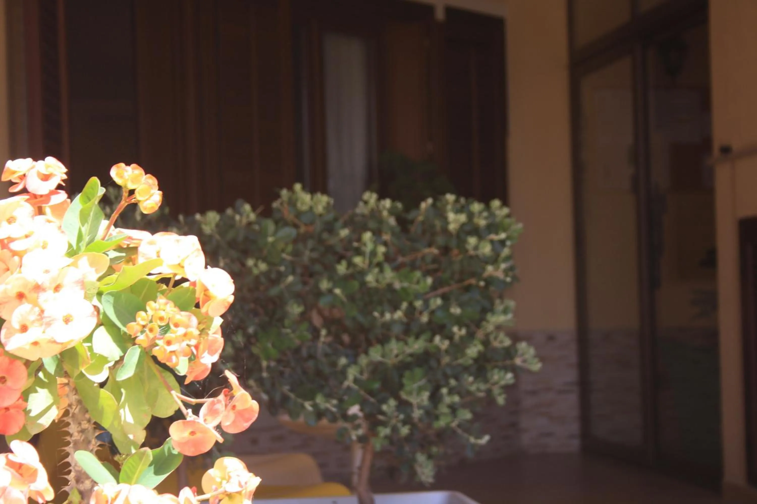 Decorative detail in Affittacamere Aloe