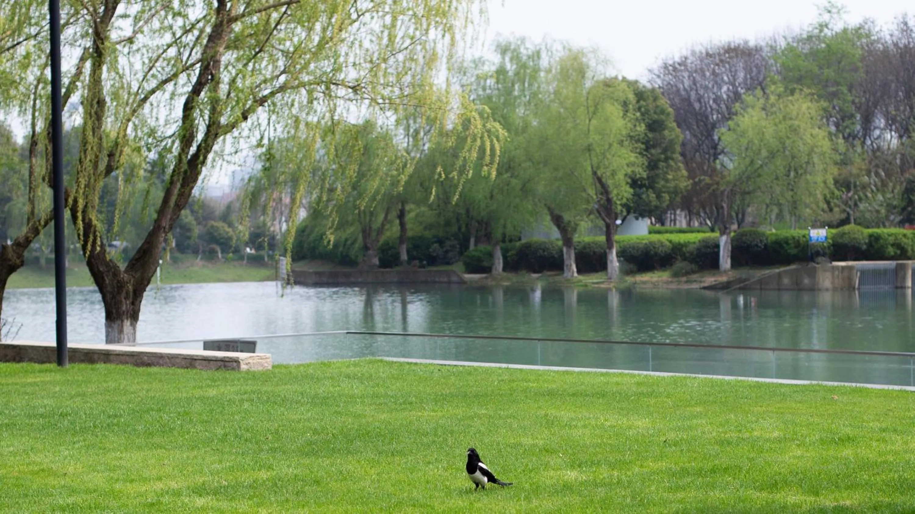 Nearby landmark in InterContinental Hefei by IHG