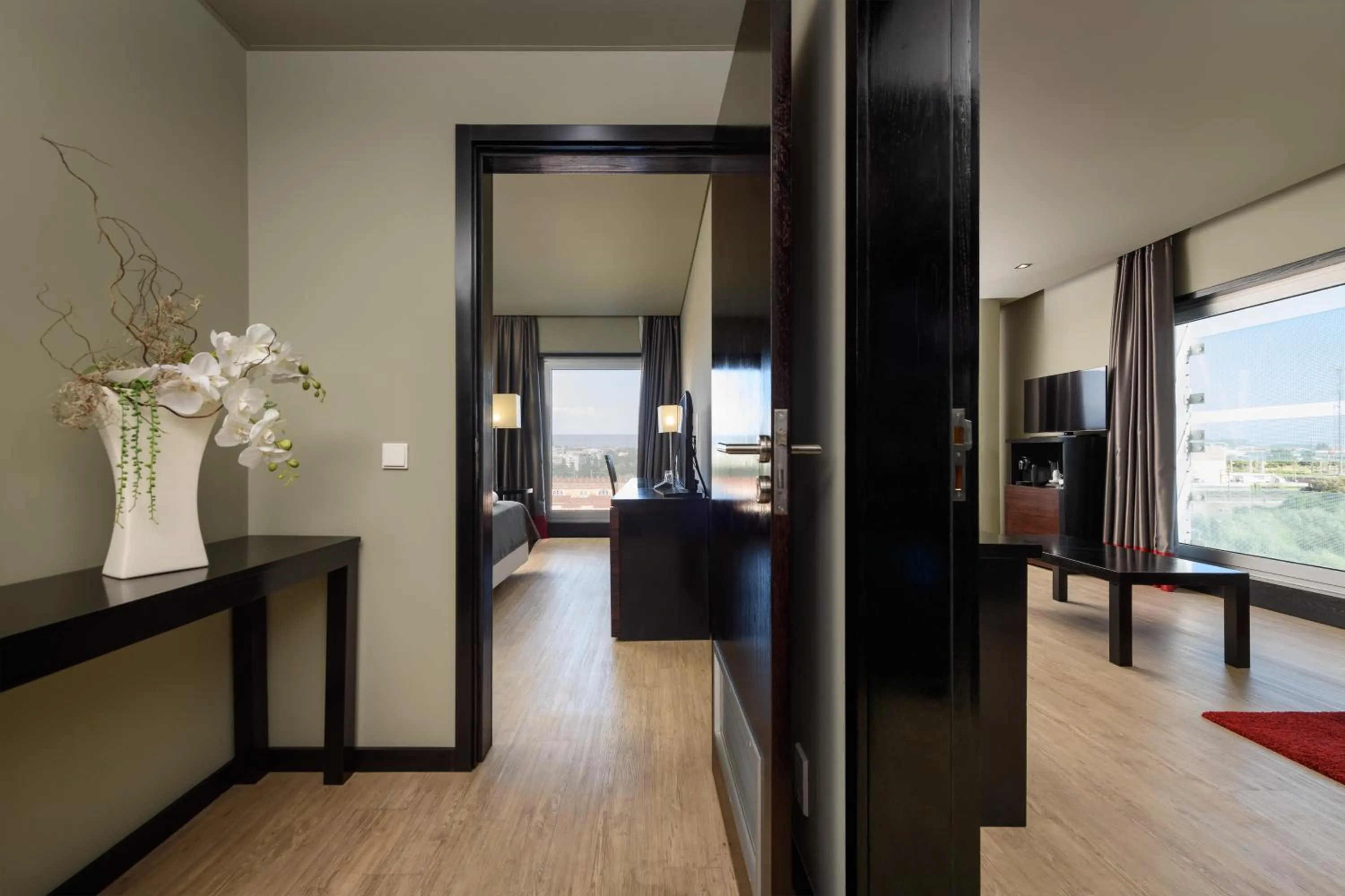 TV and multimedia in Melia Ria Hotel & Spa