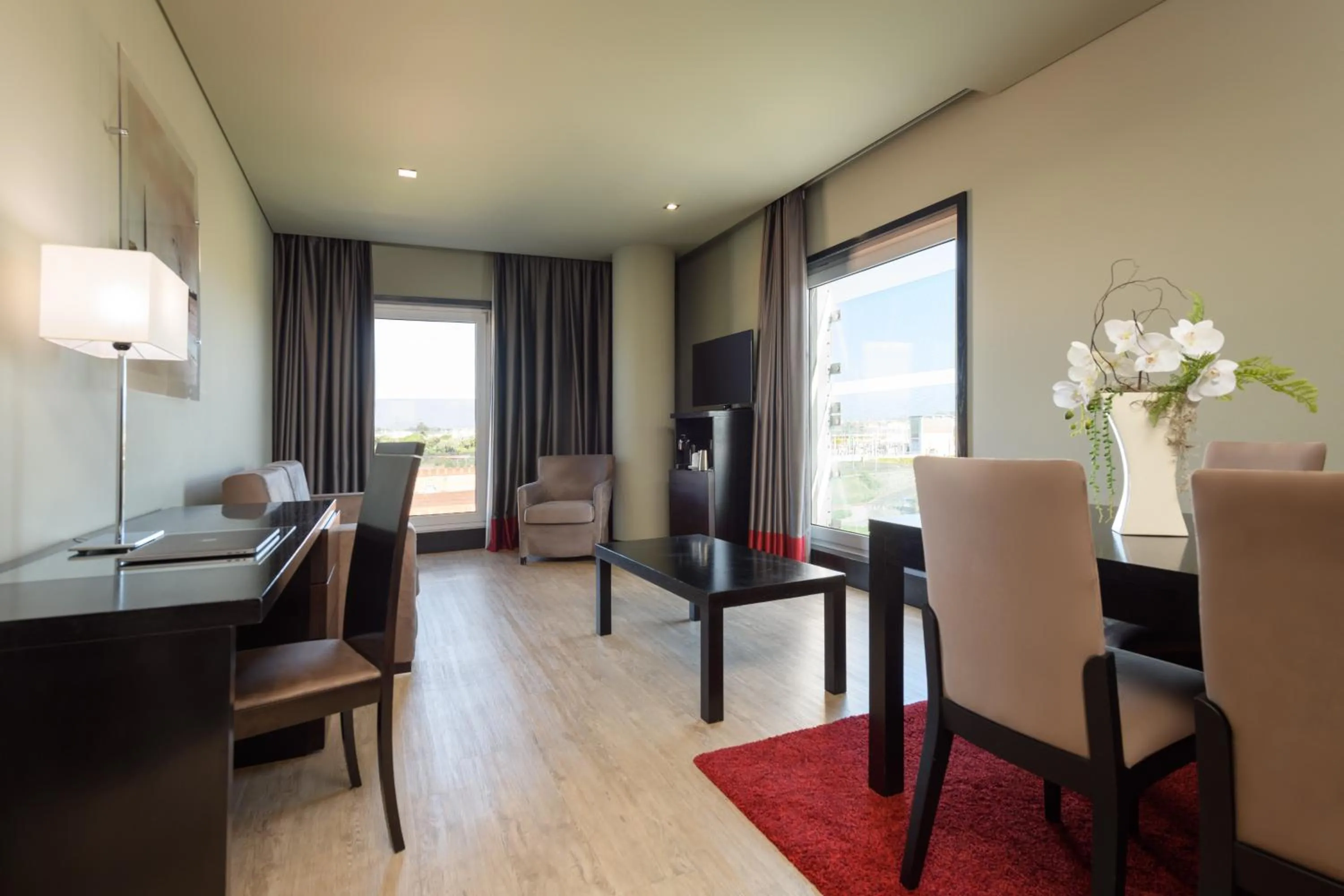 TV and multimedia in Melia Ria Hotel & Spa