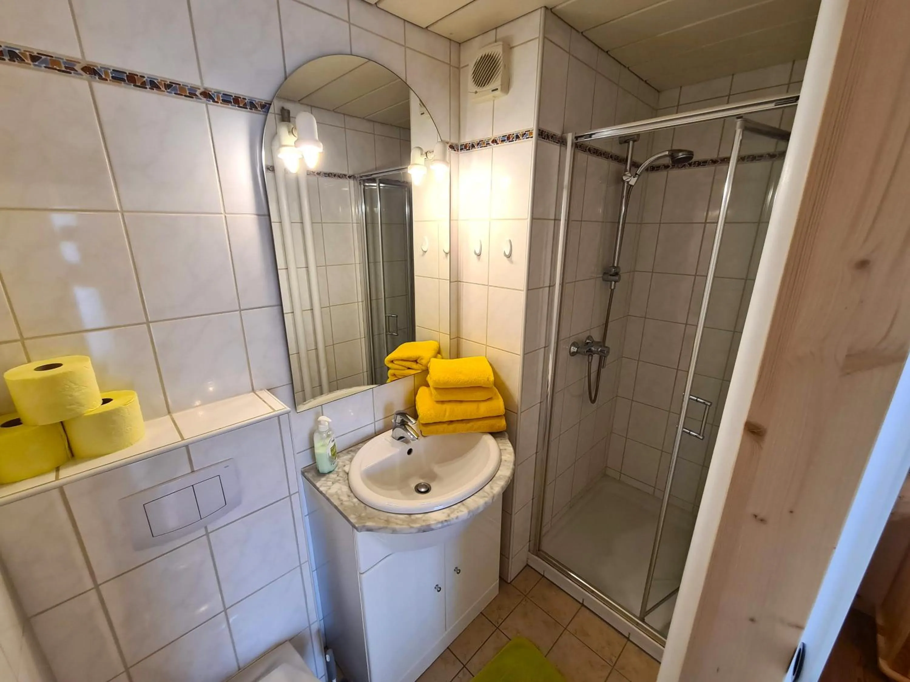 Shower in Pension Sydler