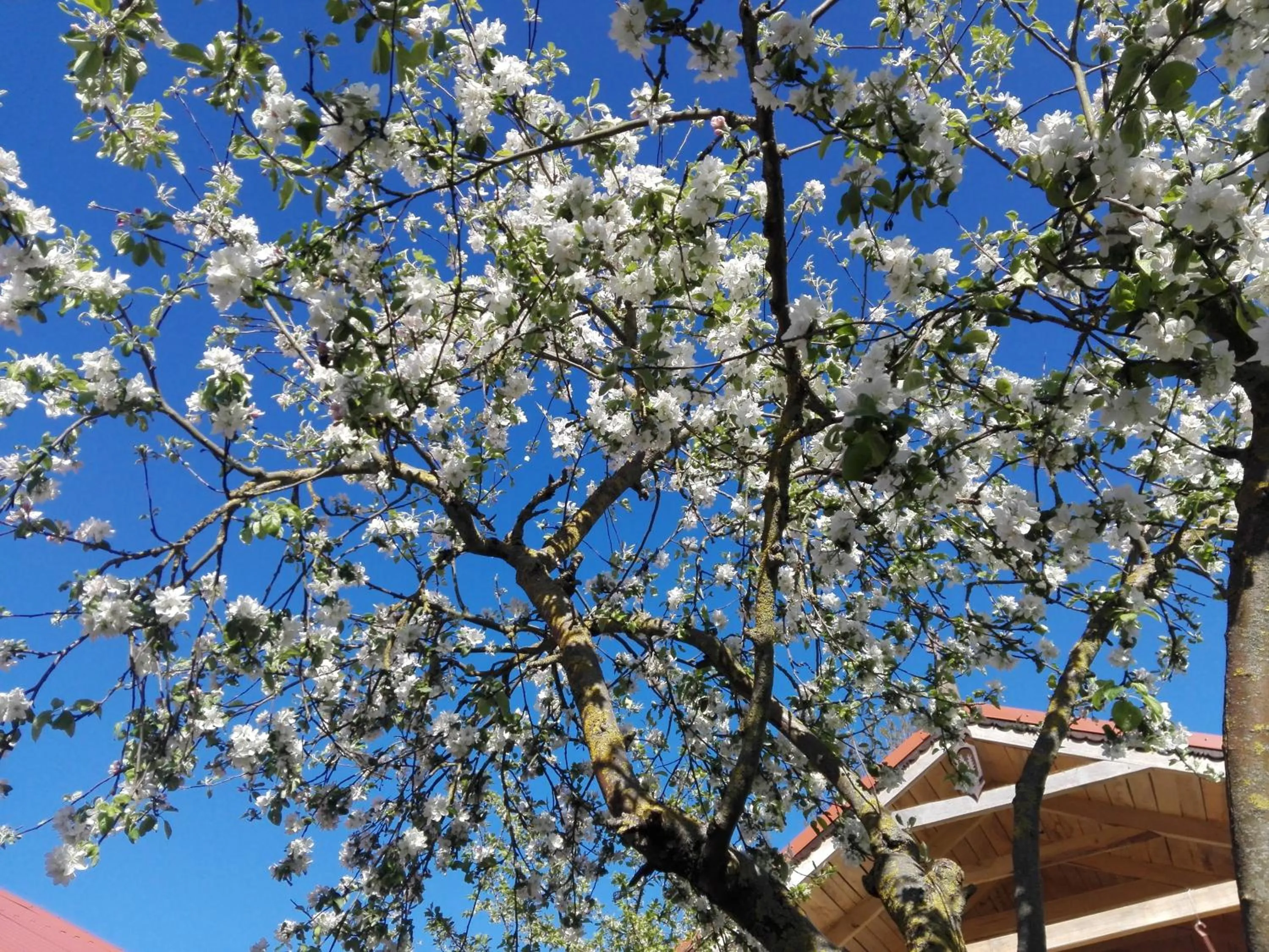 Agroturystyka Cold Sea