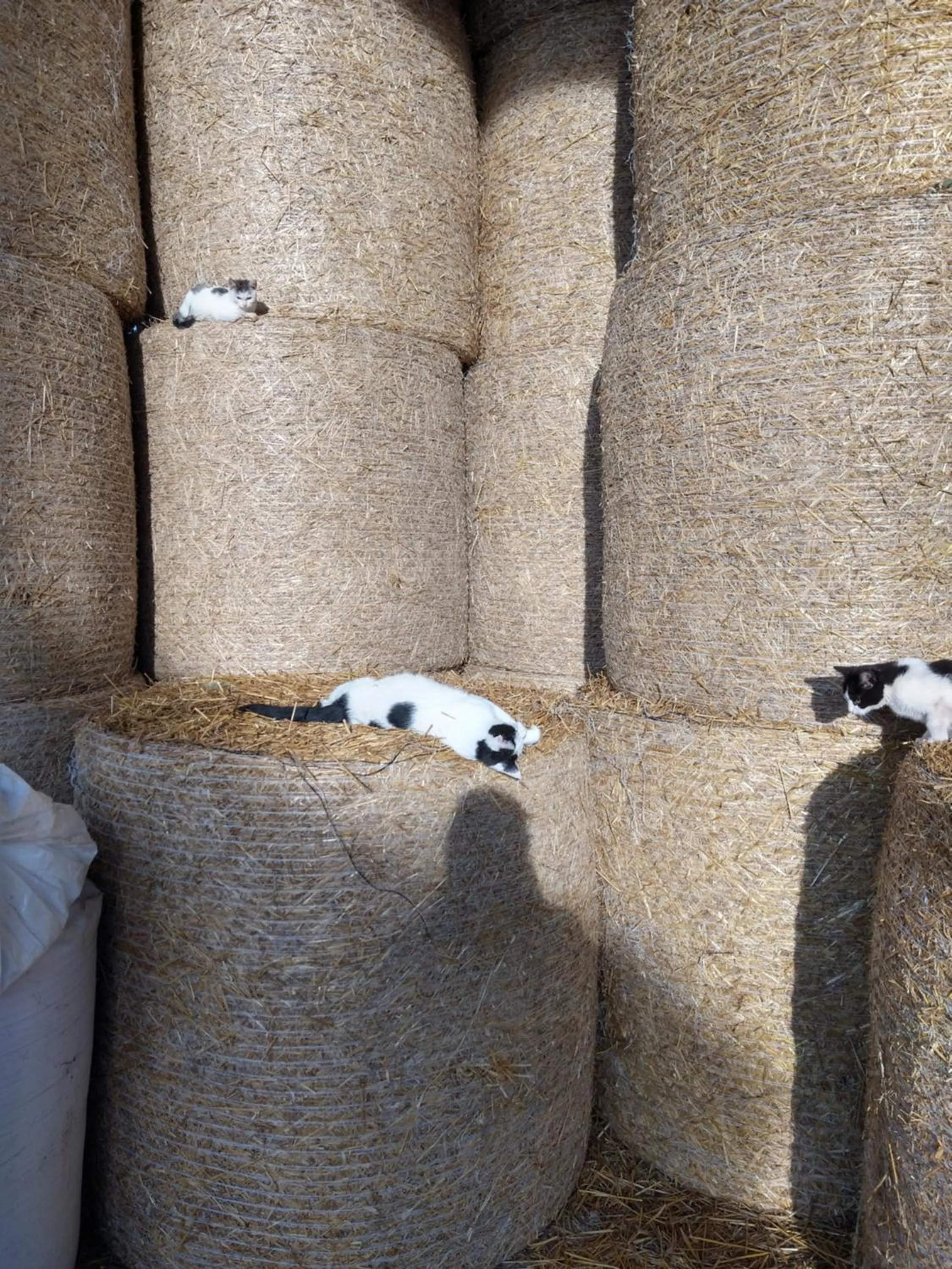 Agroturystyka Cold Sea