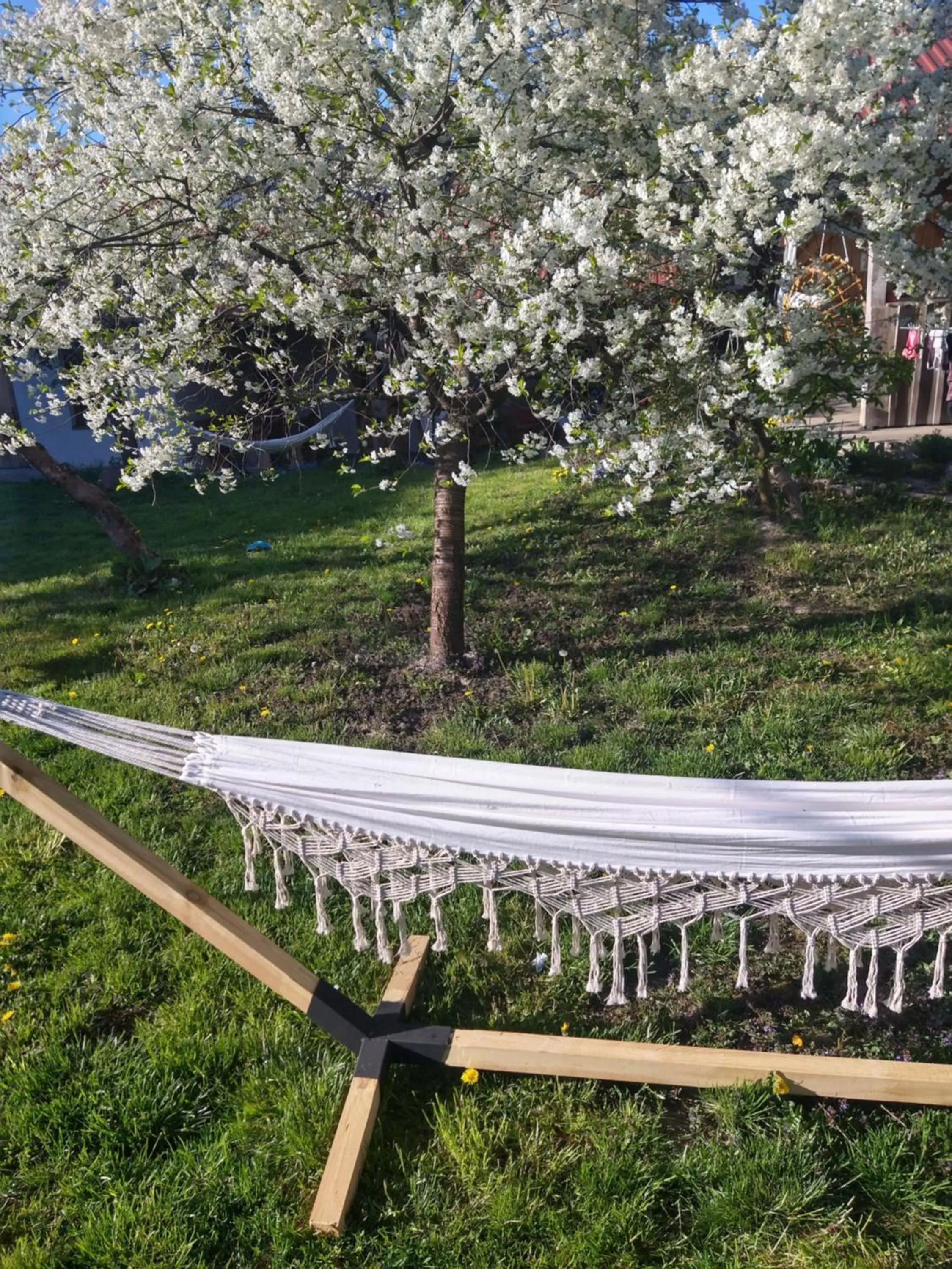 Garden in Agroturystyka Cold Sea