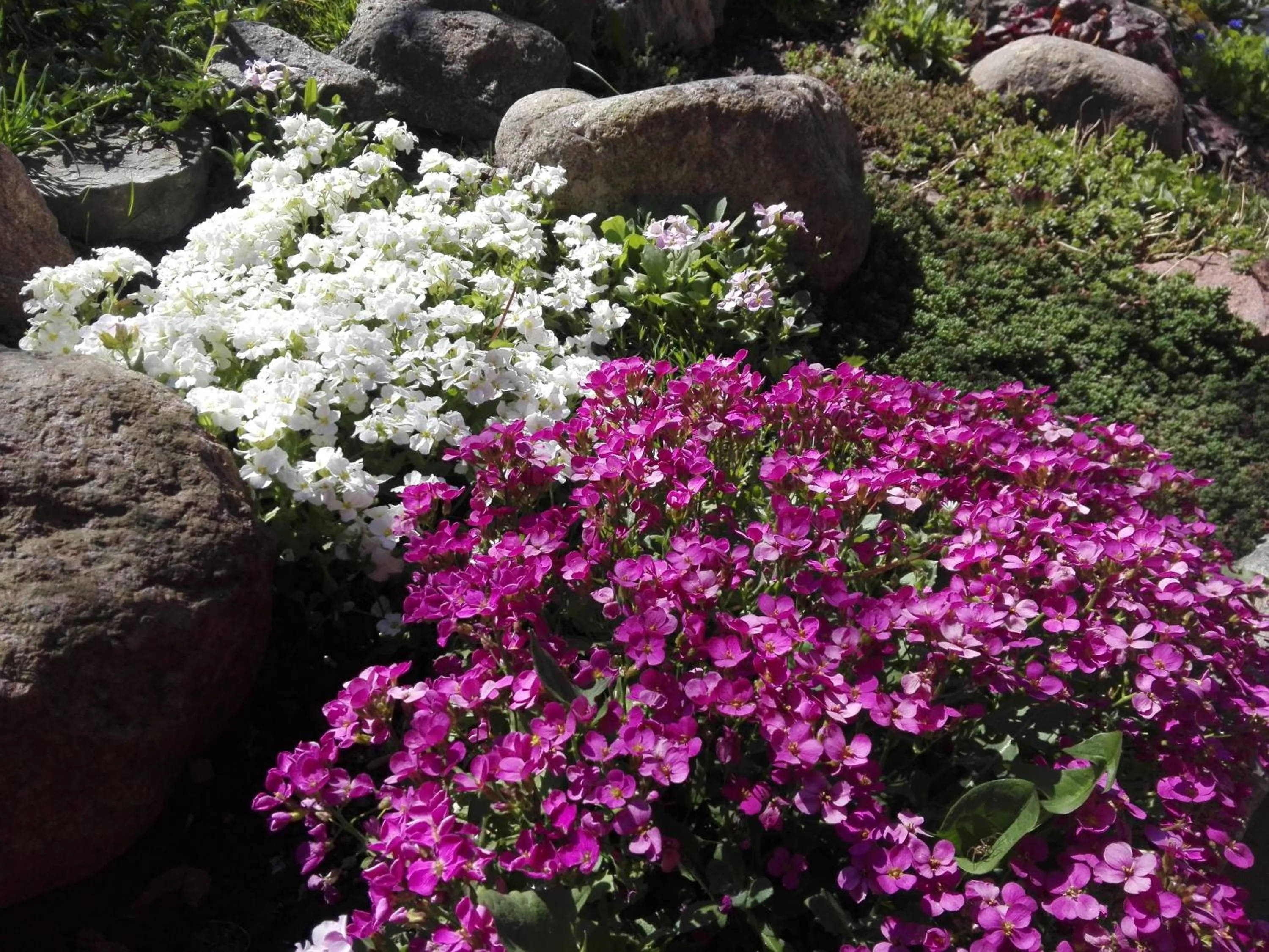 Agroturystyka Cold Sea