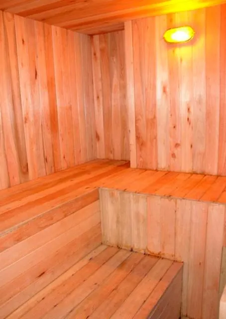 Spa and wellness centre/facilities in Complejo Aspen