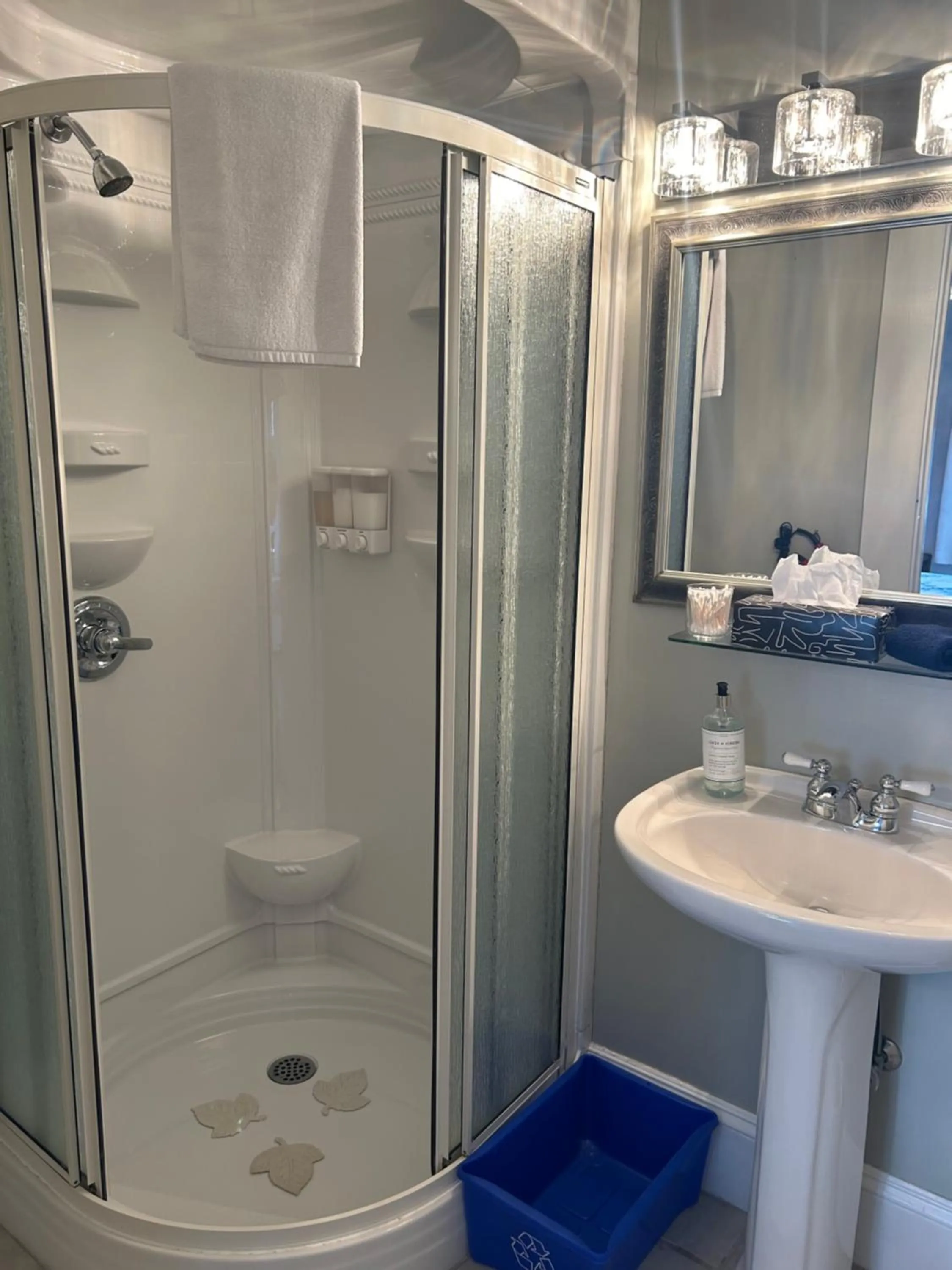 Shower in Belgravia B&B