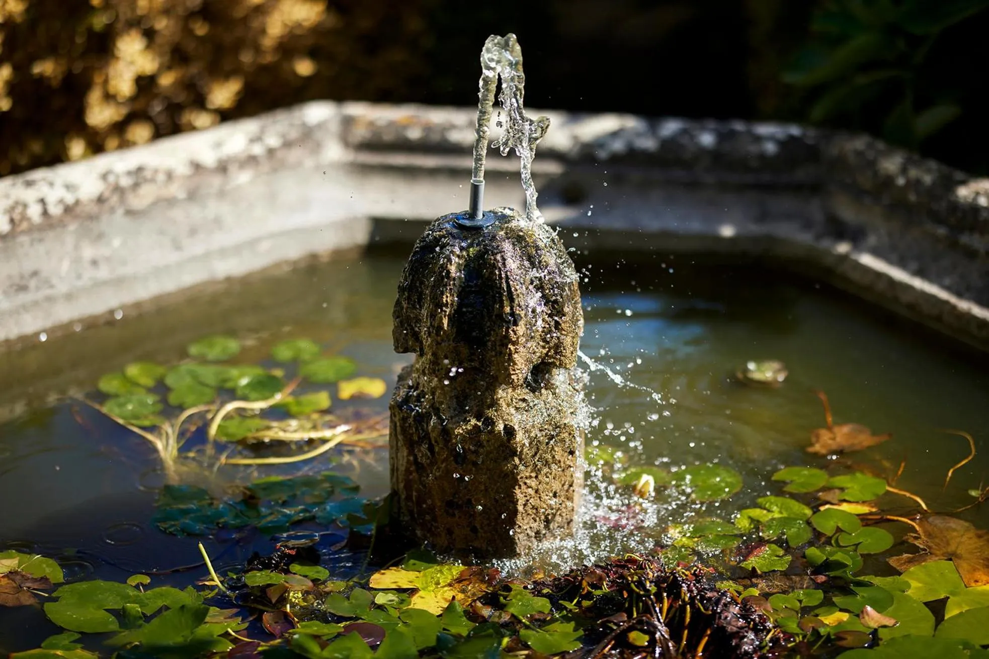 Natural landscape in Palacio da Lousa Boutique Hotel