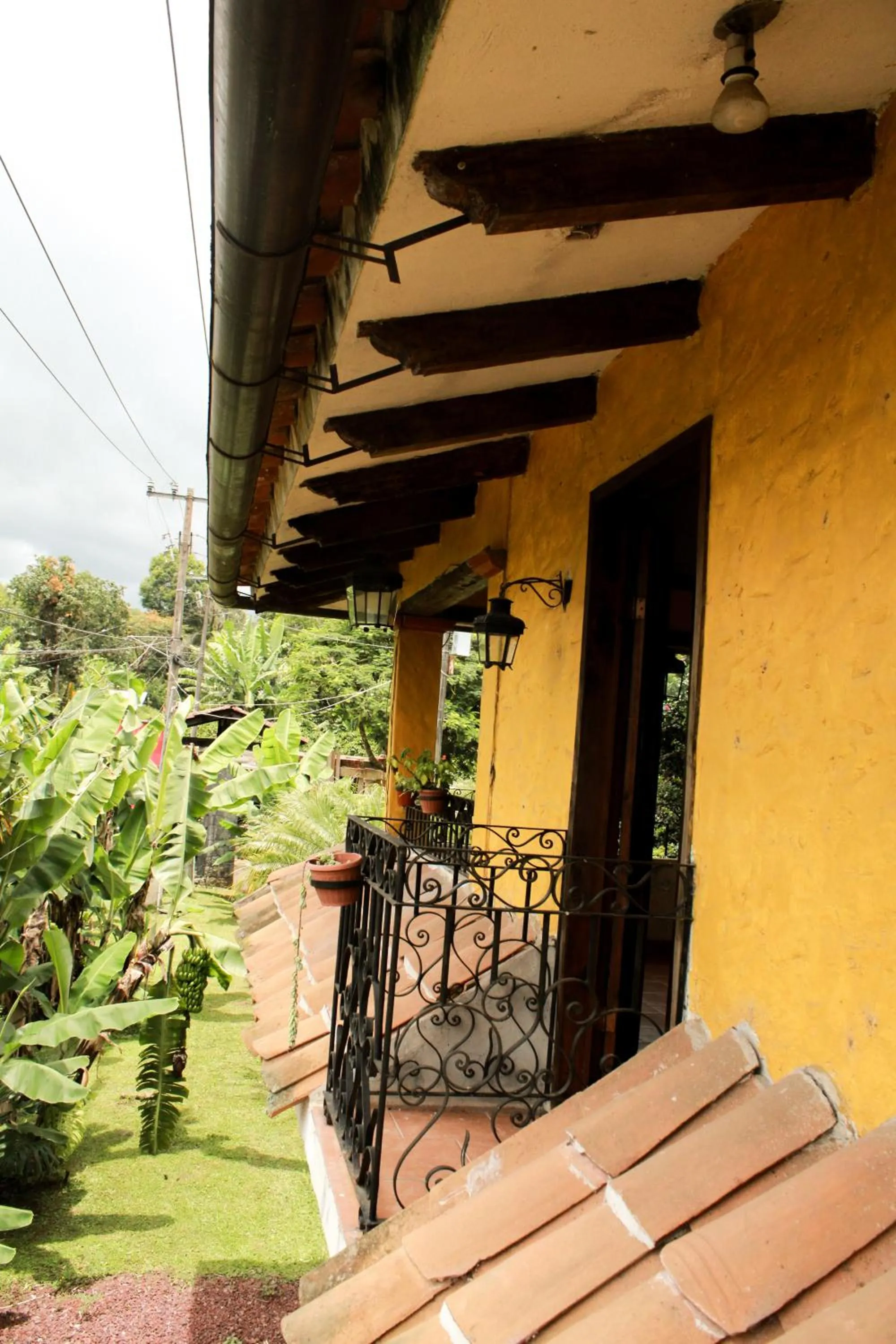 Garden view in Posada La Querencia