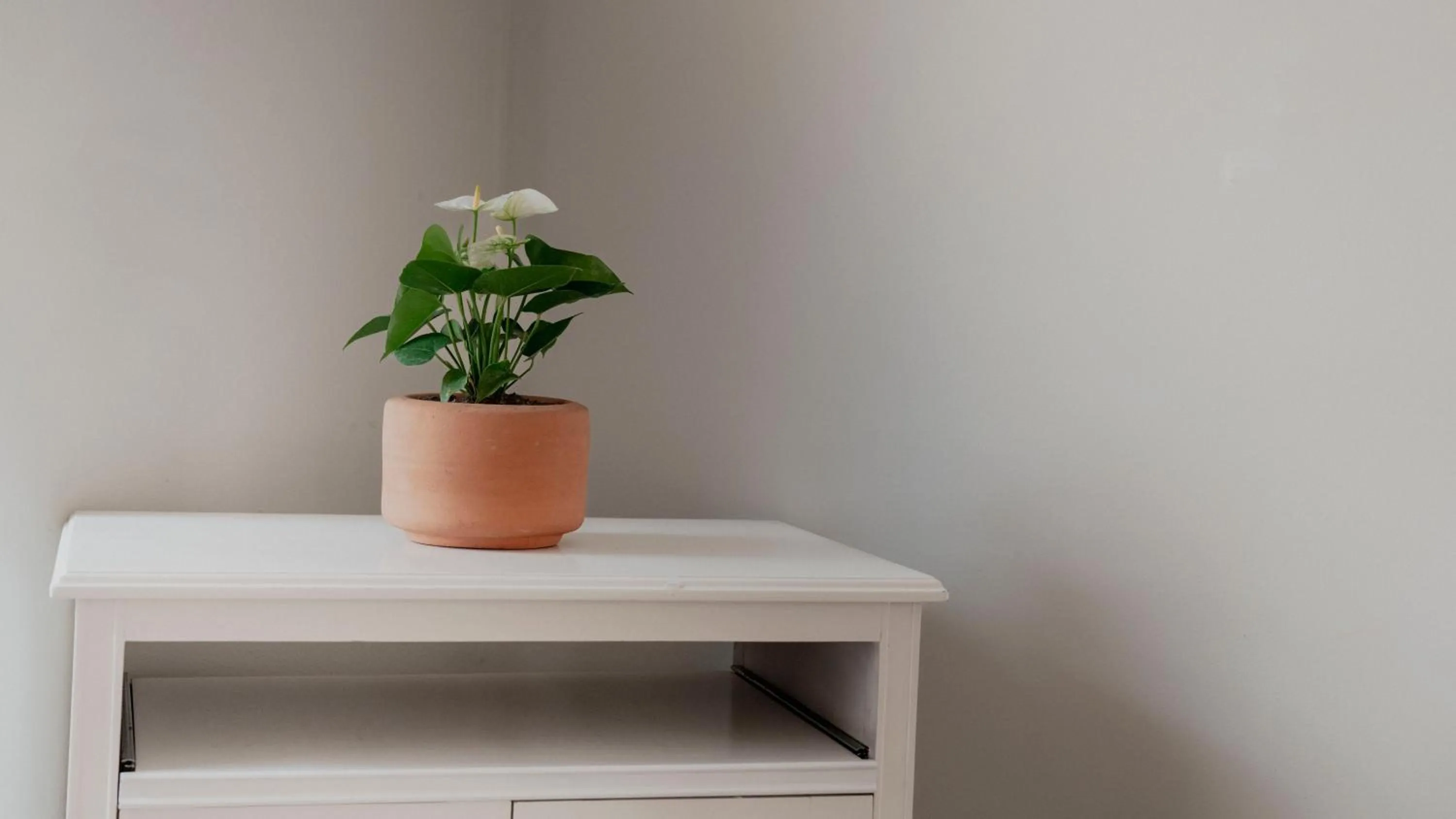 Spa and wellness centre/facilities in Casa Bonita Hotel & Luxury Residence