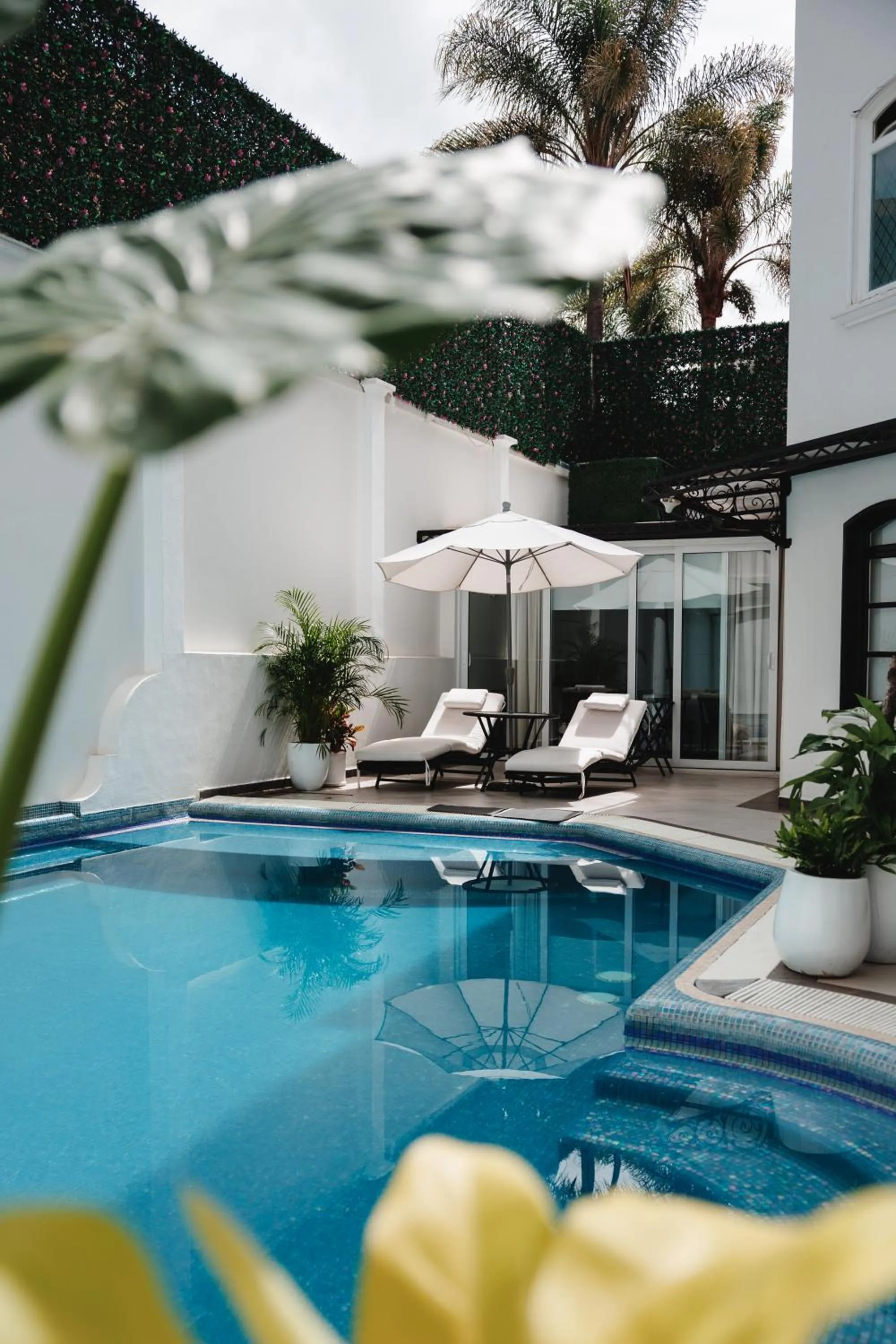 Swimming pool in Casa Bonita Hotel & Luxury Residence