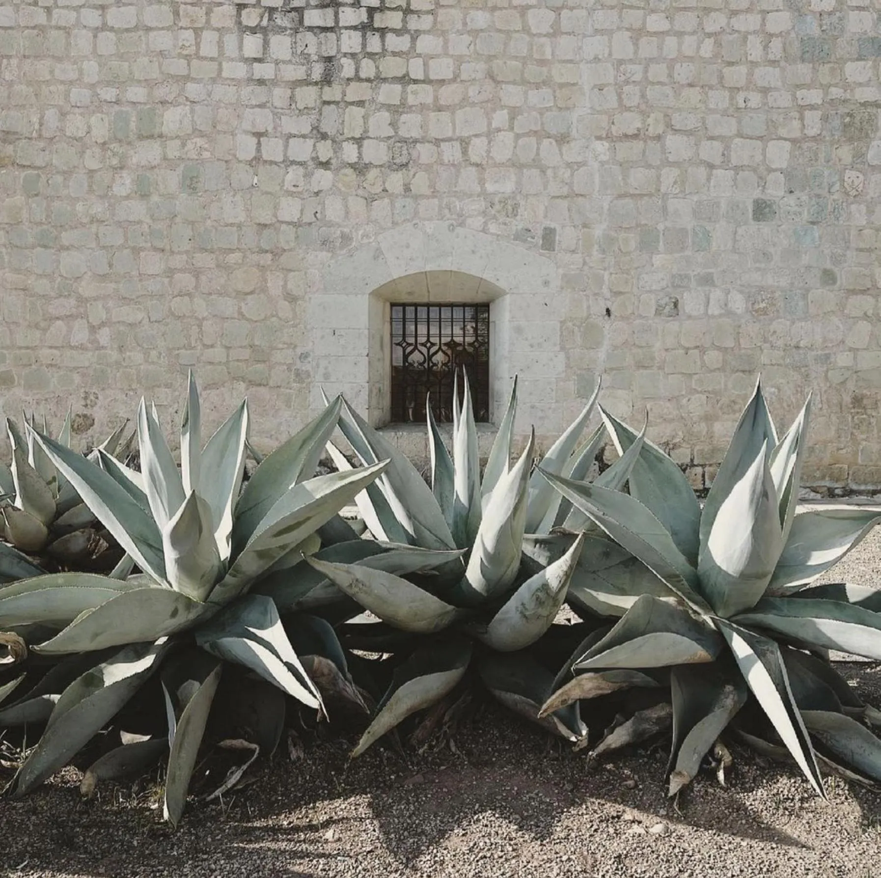 Day in Casa Bonita Hotel & Luxury Residence