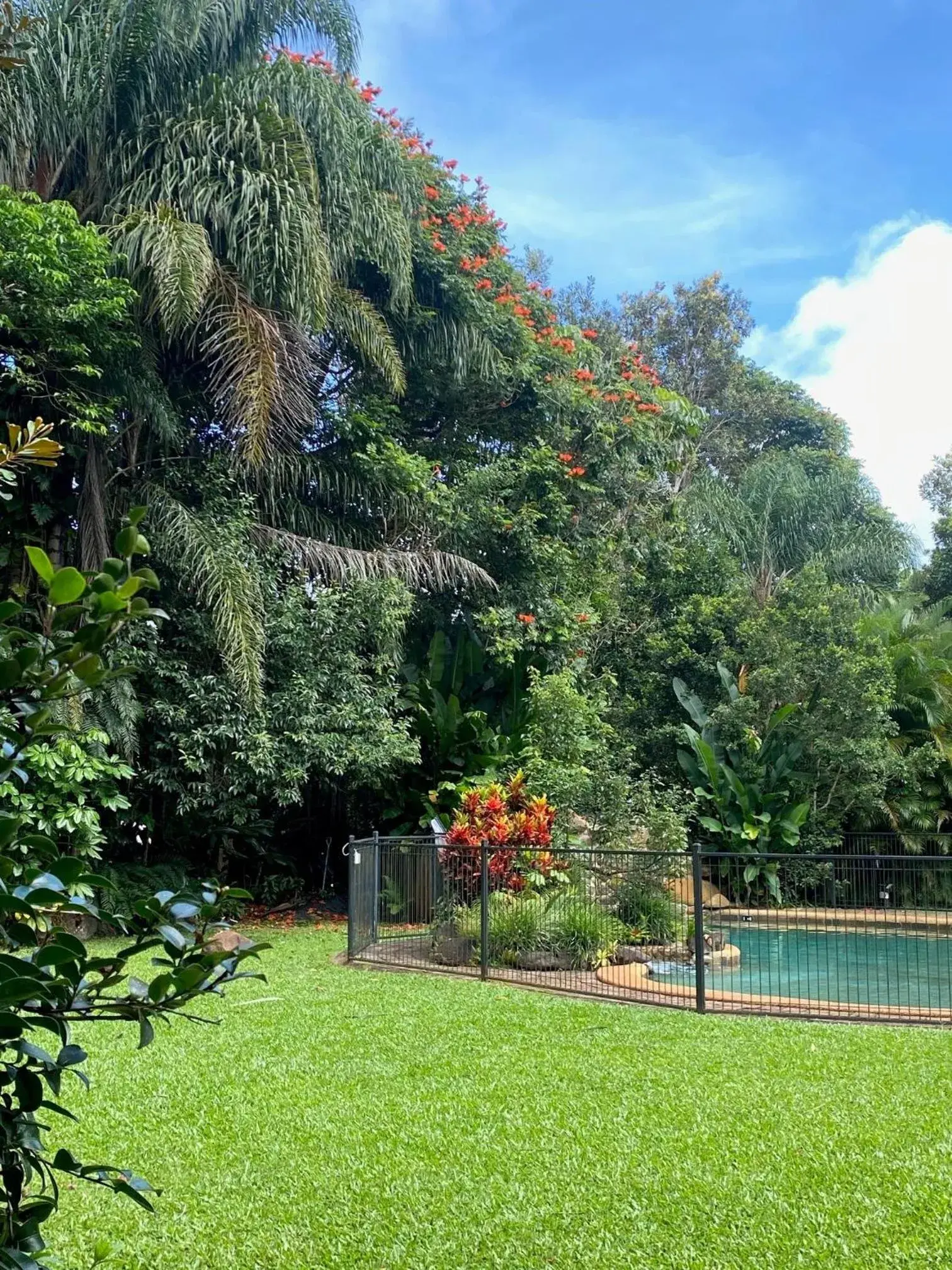 Standard Family Room in Malanda Lodge Standard Family Room in Malanda Lodge