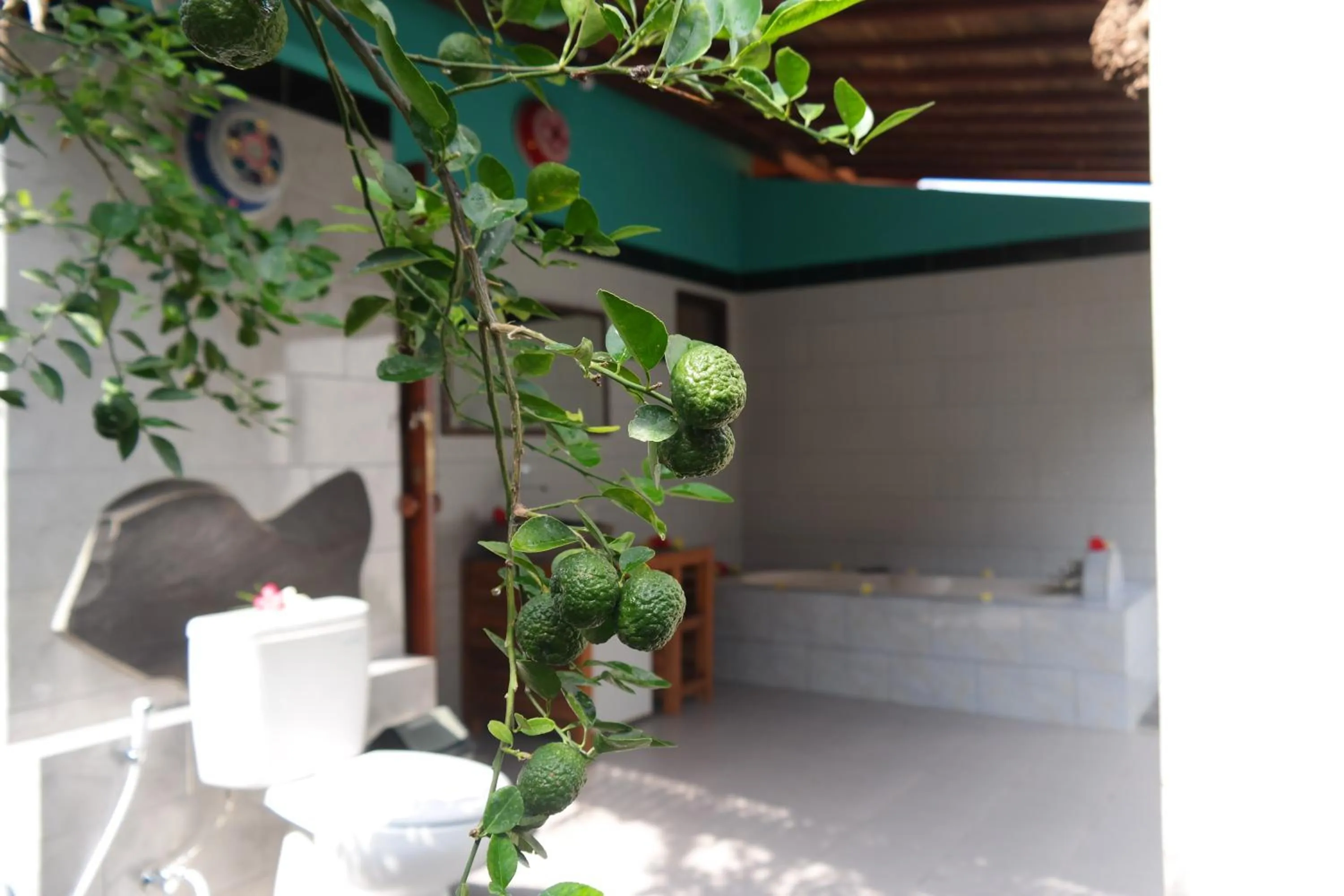 Bathroom in 1000 Dream Bungalow