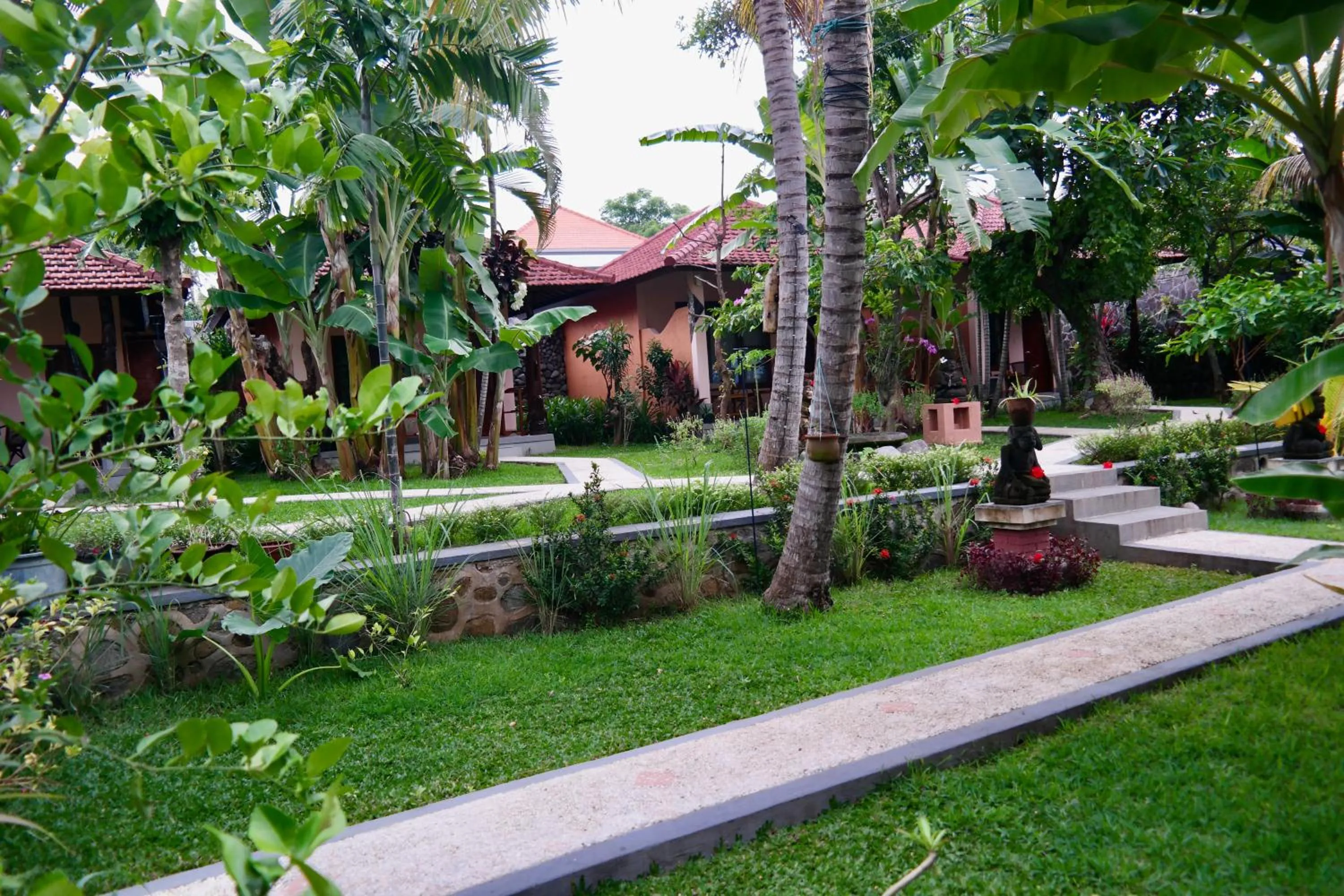Garden in 1000 Dream Bungalow