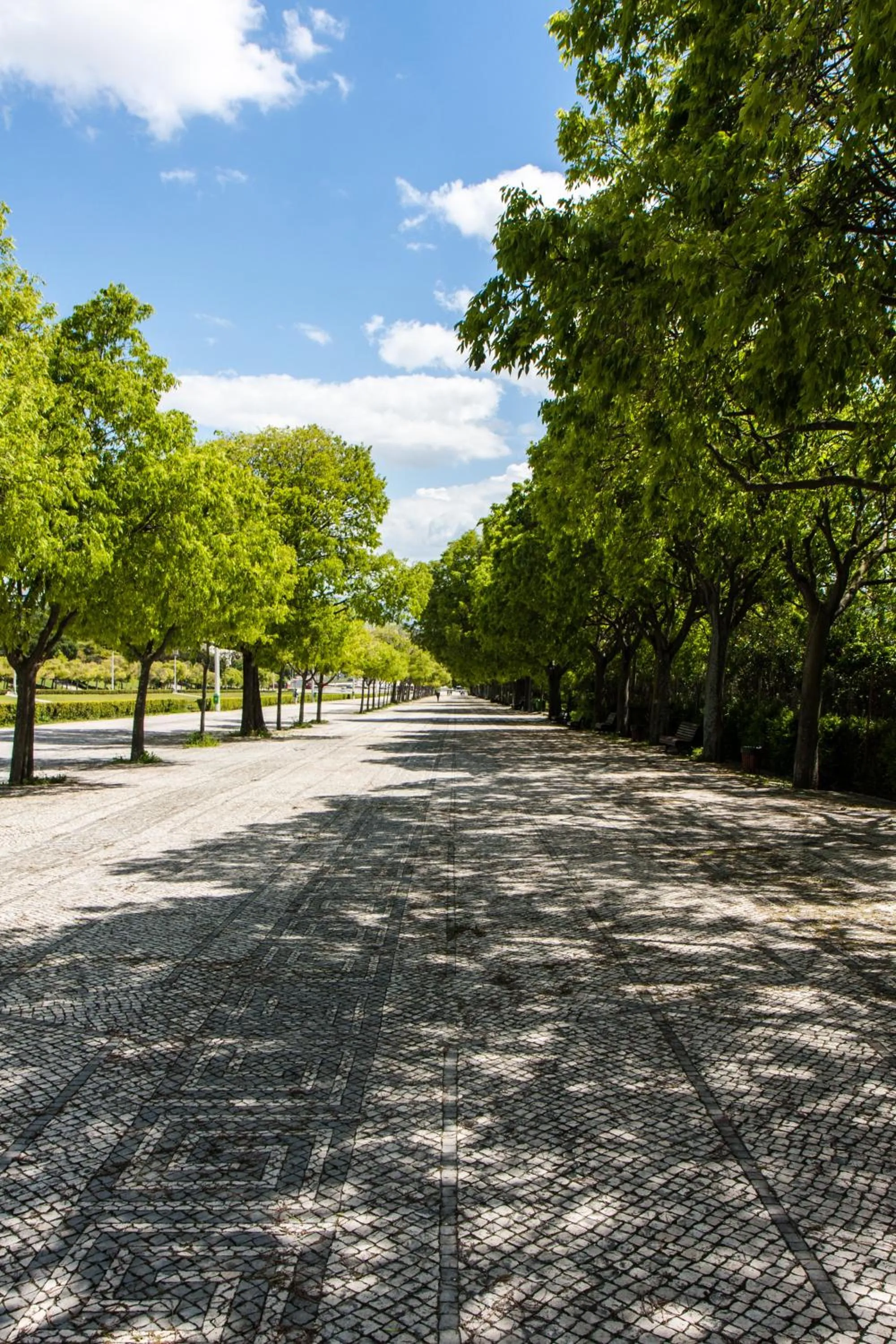 Natural landscape in Lisboa Central Park Hotel Suites & Studios