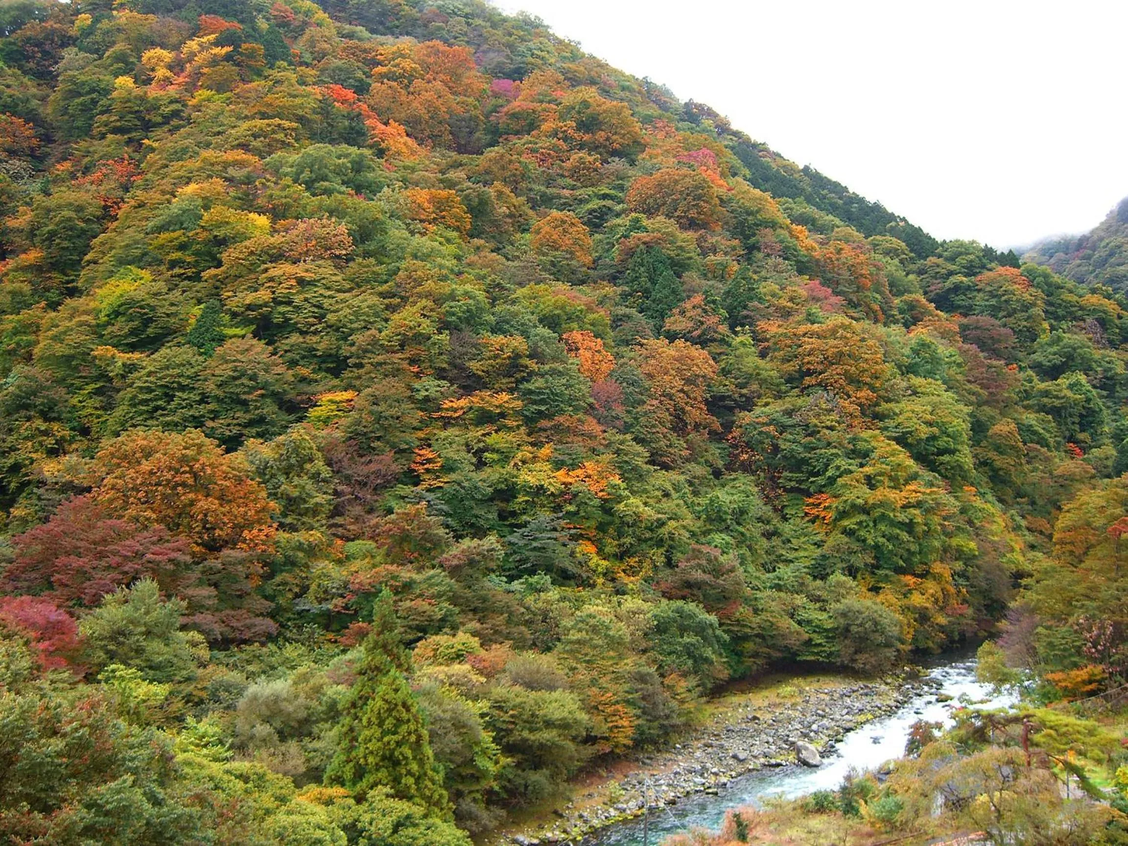 Natural landscape in Nikko Senhime Monogatari