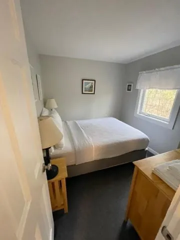 Bed in Elmwood Motor Court