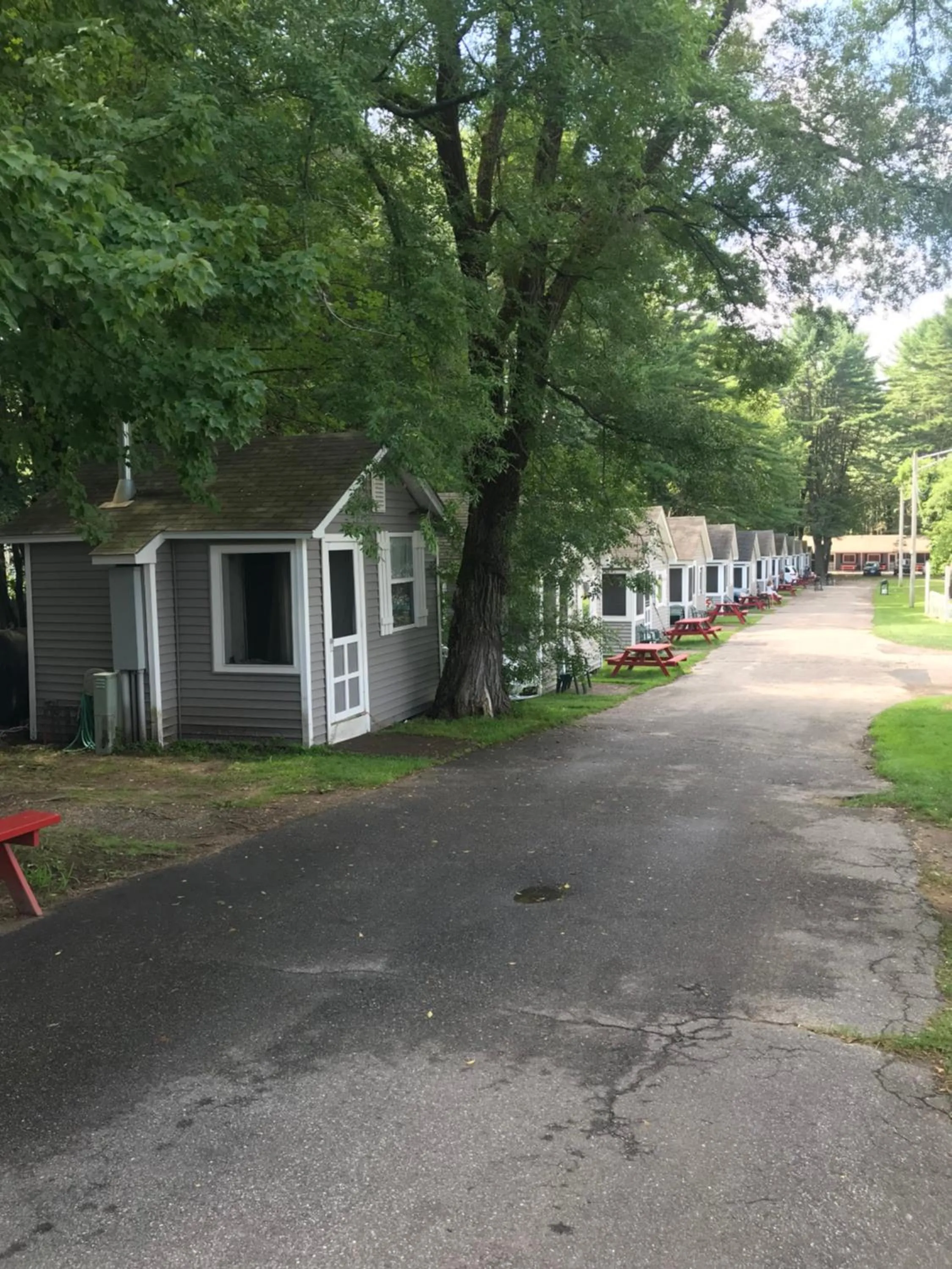 Property building in Elmwood Motor Court