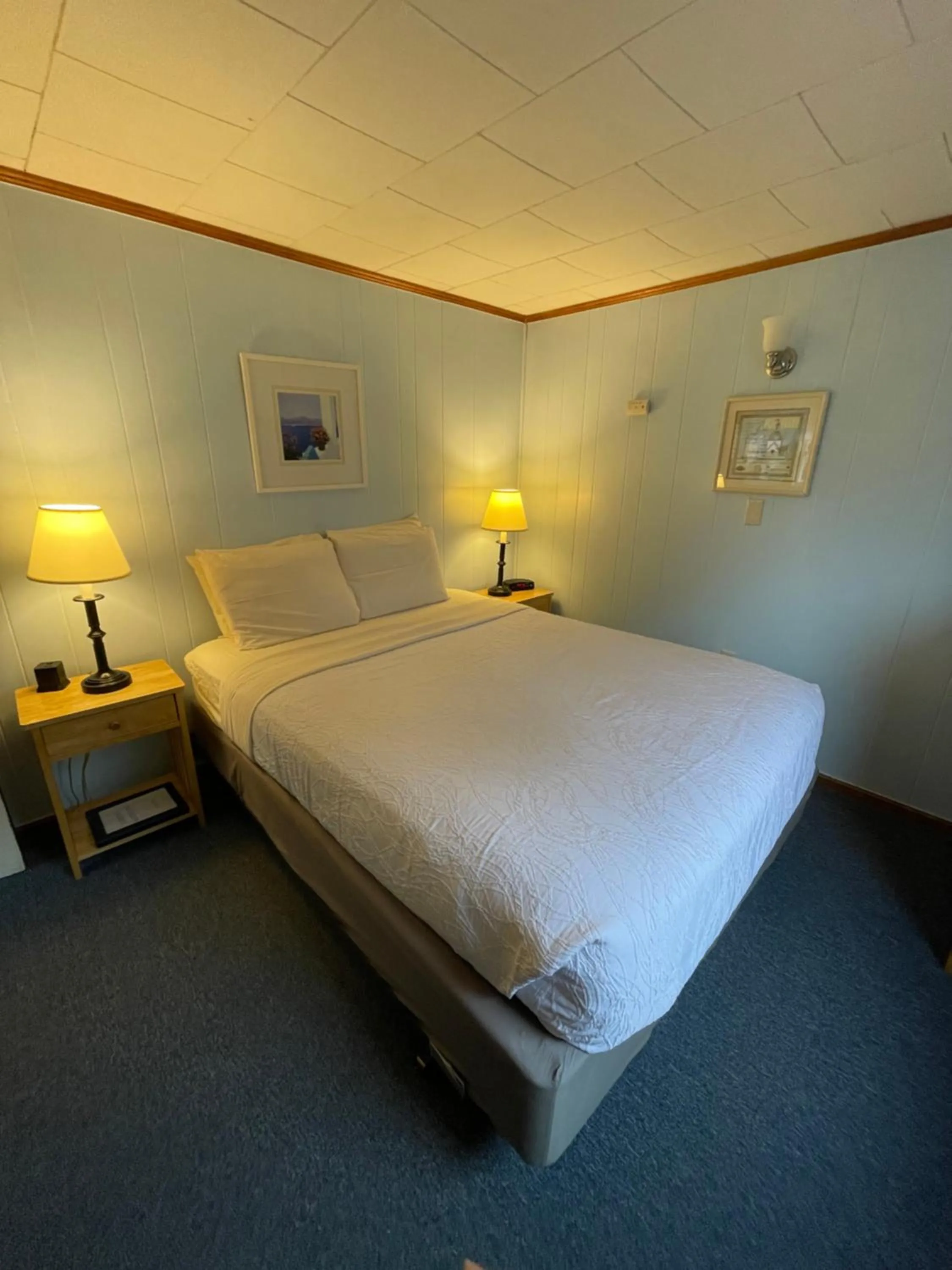 Bed in Elmwood Motor Court