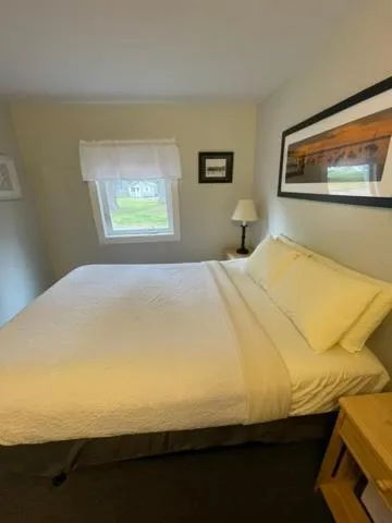 Bed in Elmwood Motor Court