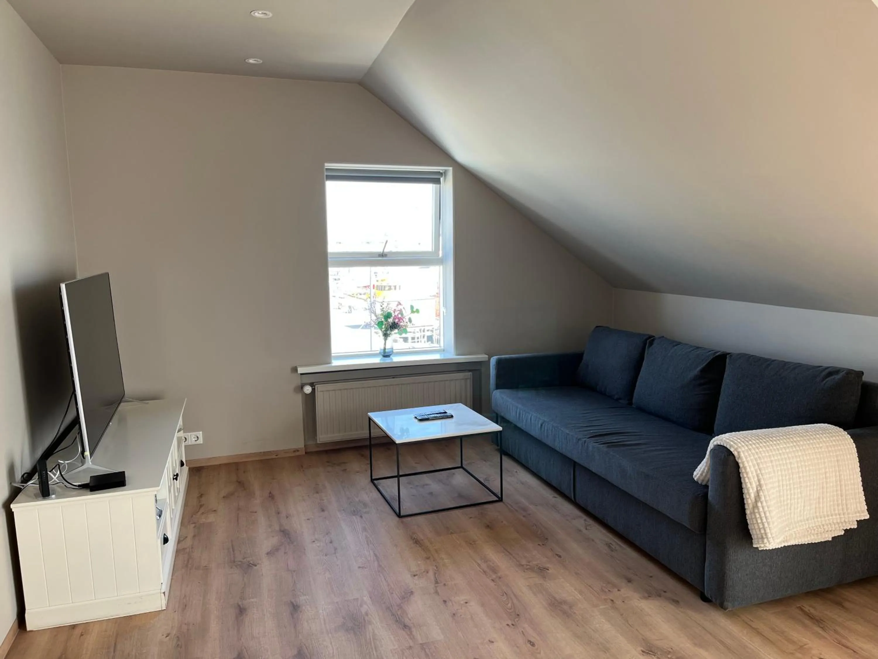 TV and multimedia in Hvammur Apartments by the Harbour