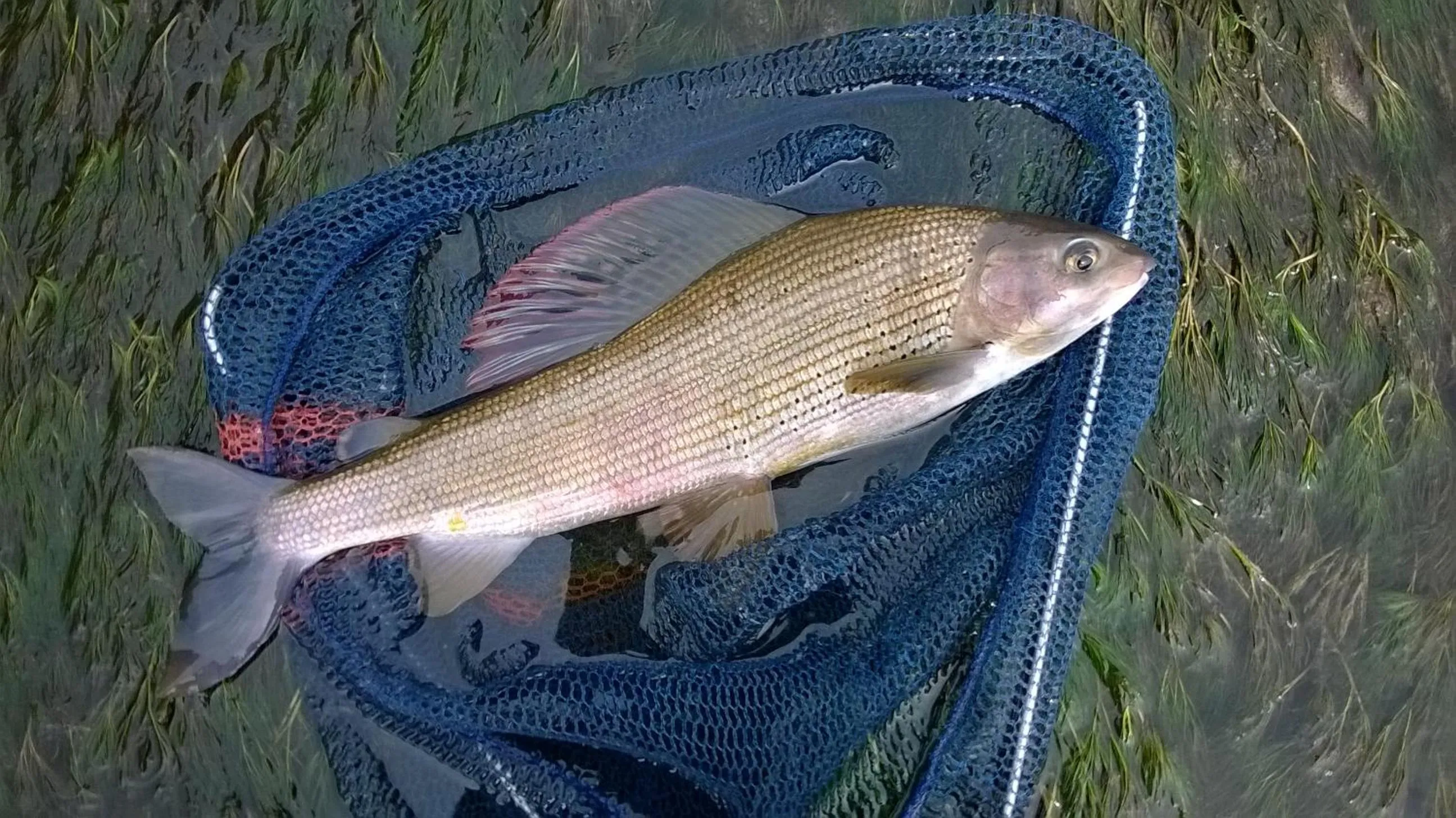 Activities in Hotel Vezzano