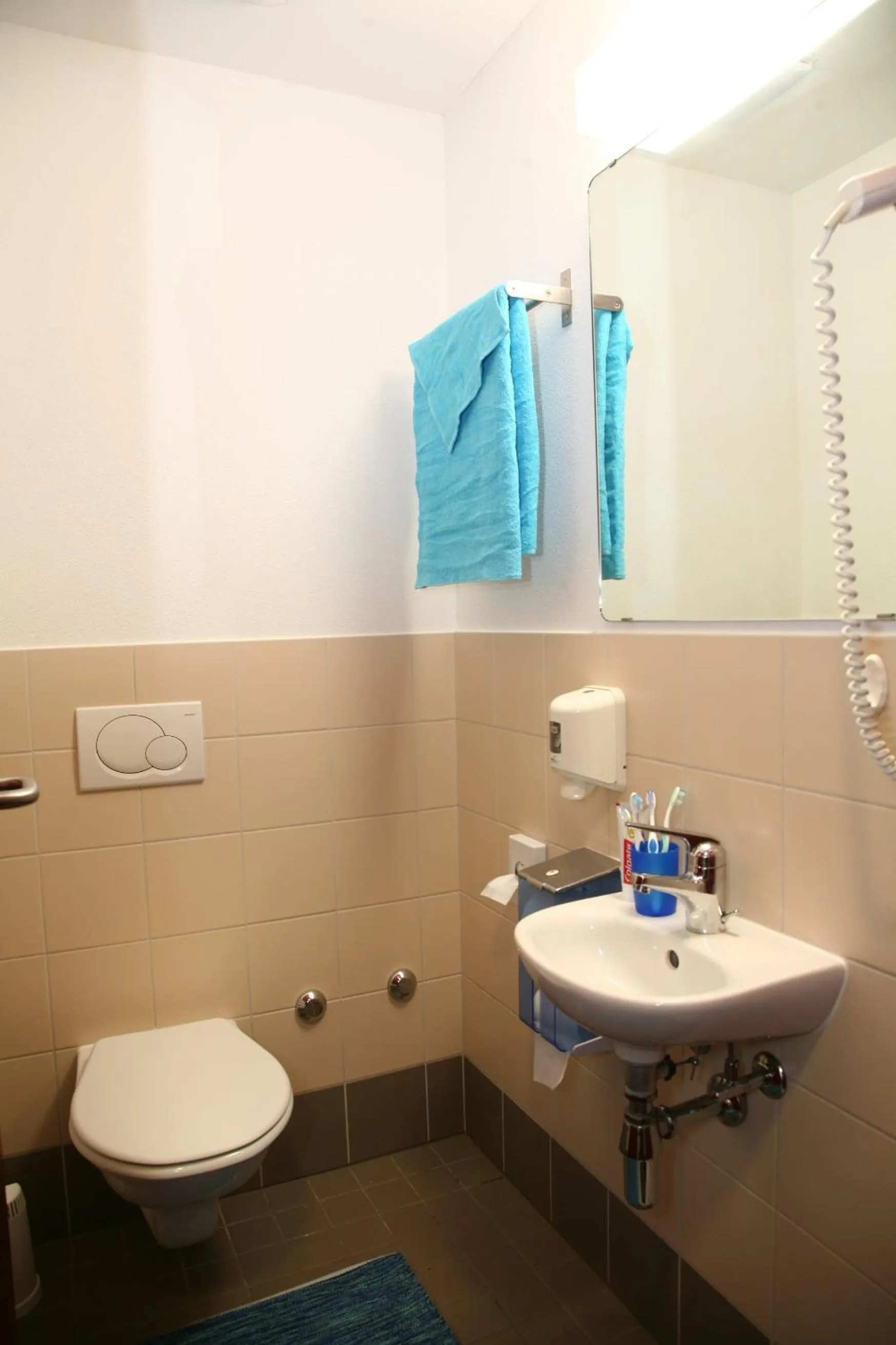 Toilet in Lugano Savosa Youth Hostel