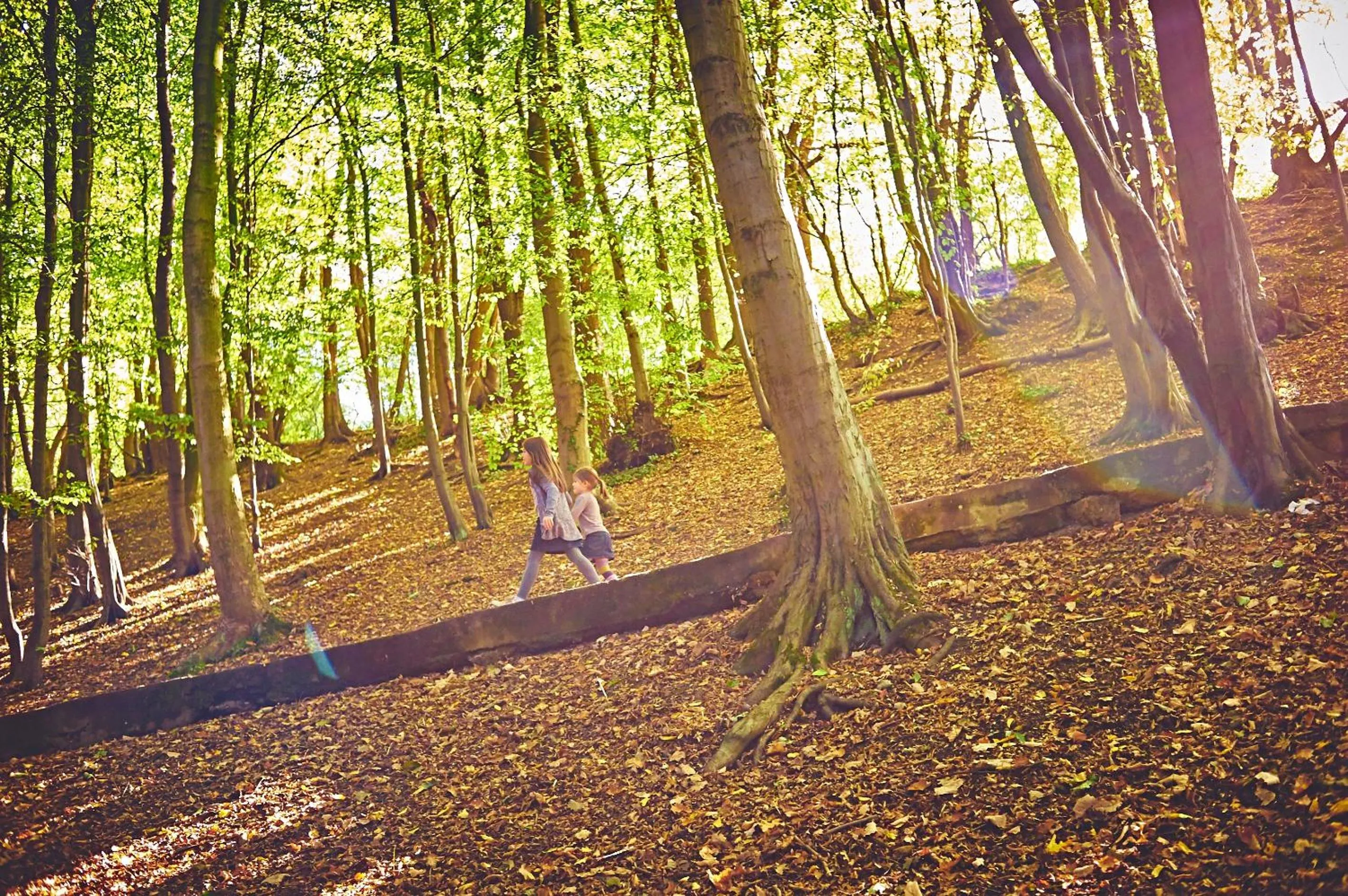 Area and facilities in DJH Jugendherberge Hagen