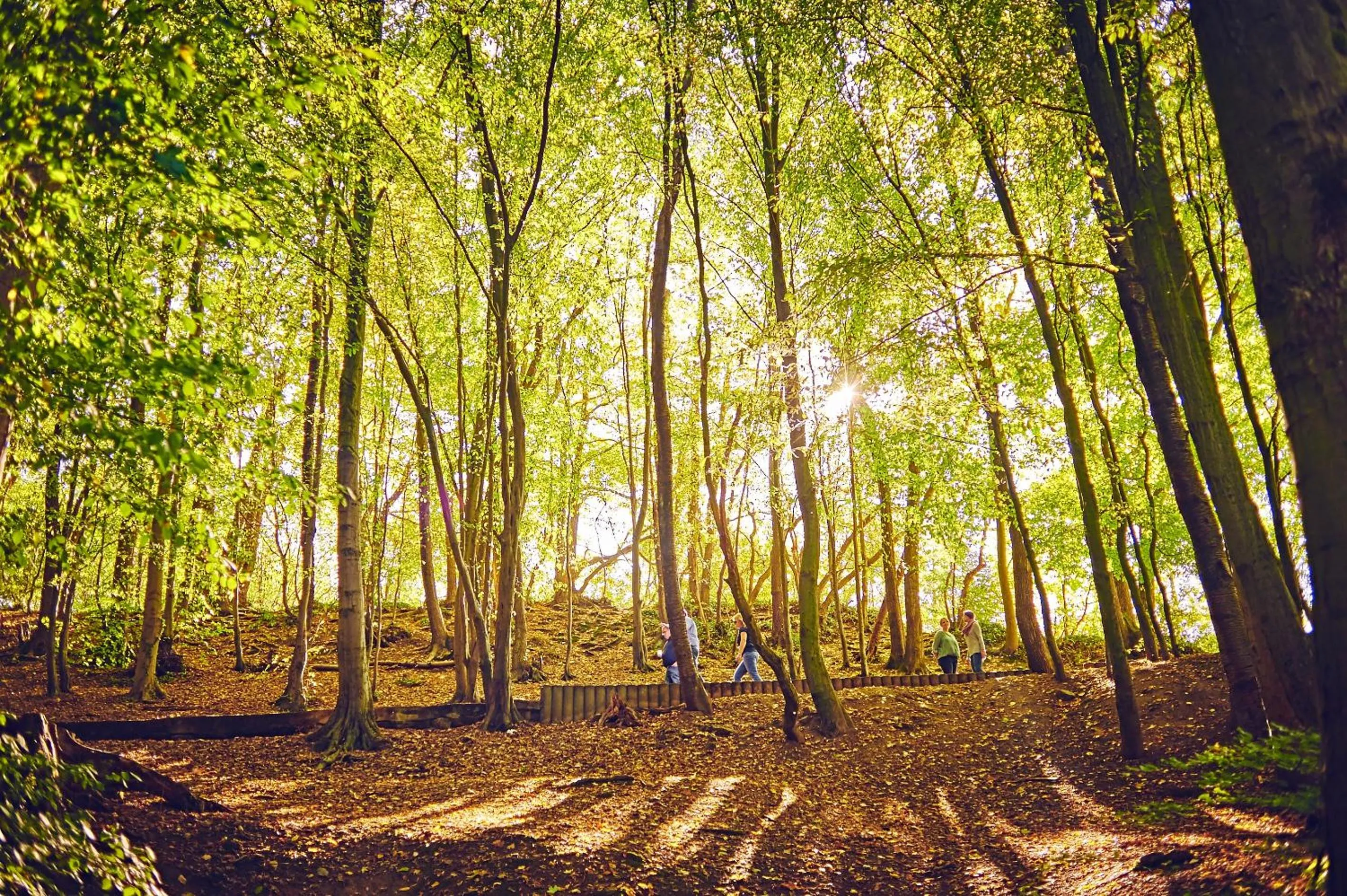 Area and facilities in DJH Jugendherberge Hagen