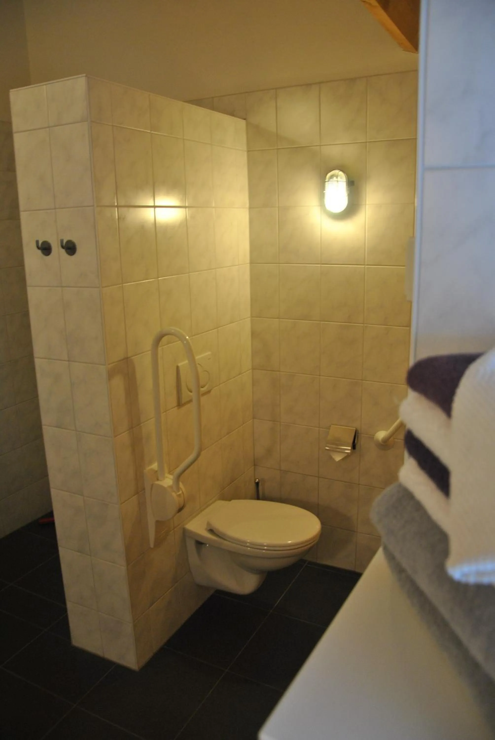 Toilet in Erfgoed & Logies Den Heijkant