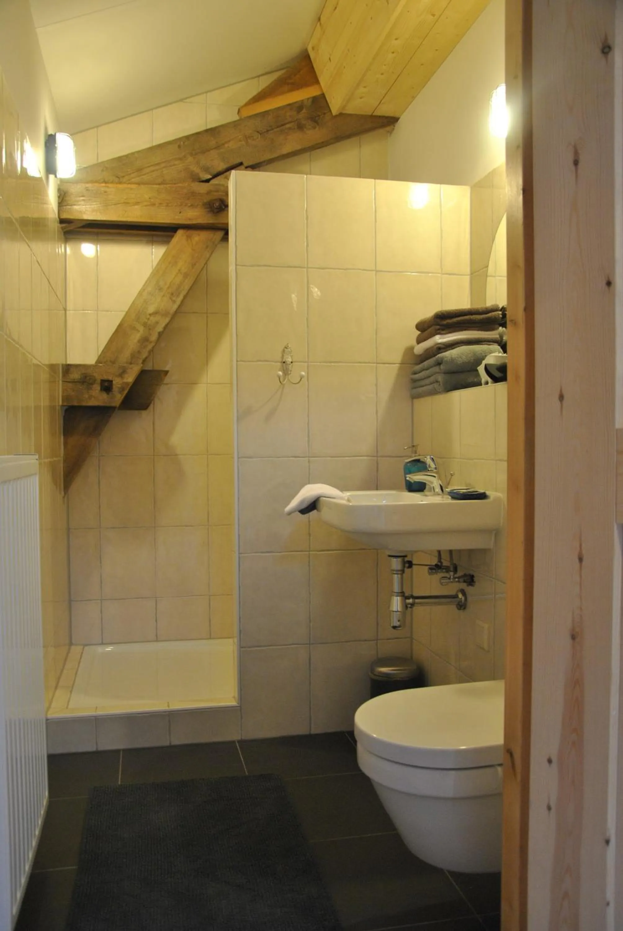 Shower in Erfgoed & Logies Den Heijkant