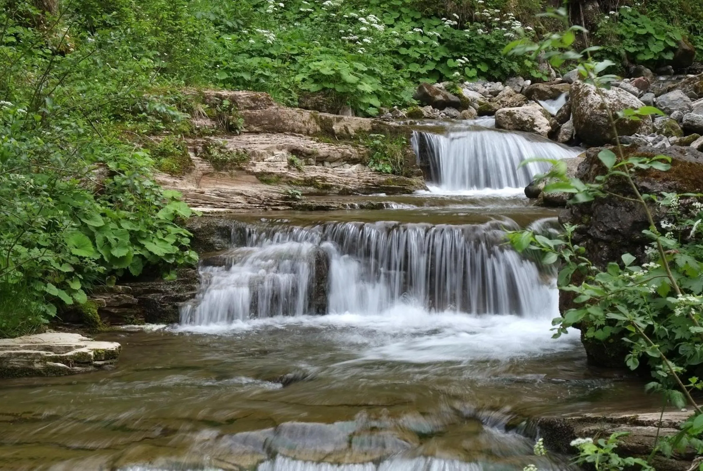 Natural landscape in B&B Appartments Cudlea