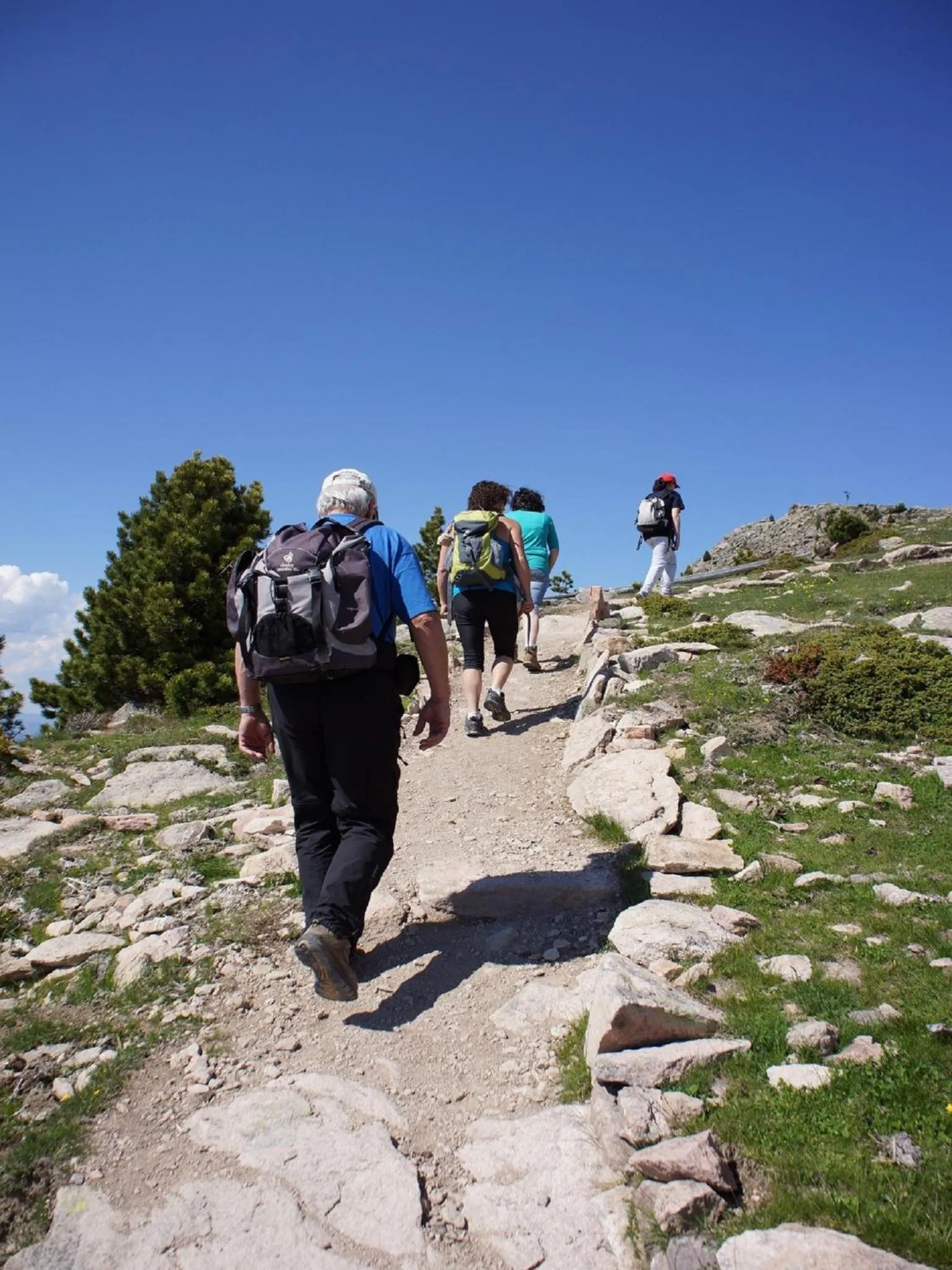 Hiking in B&B Appartments Cudlea