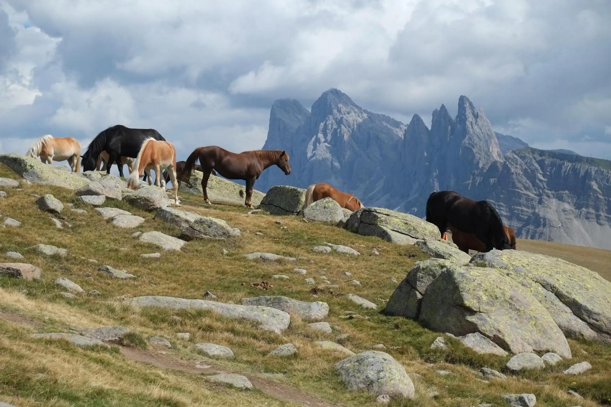 Day in B&B Appartments Cudlea