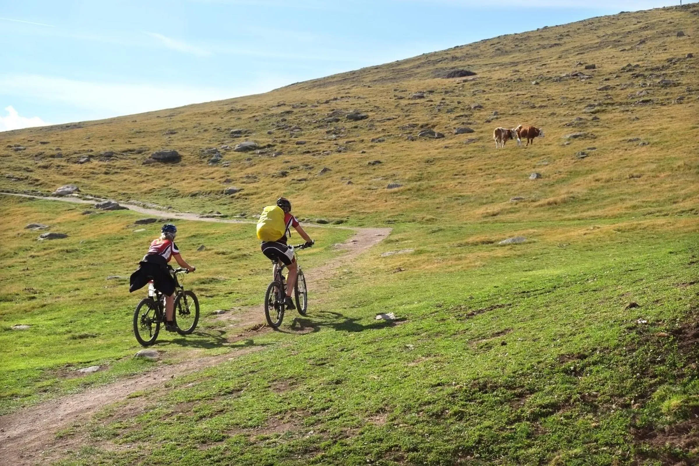 Day in B&B Appartments Cudlea