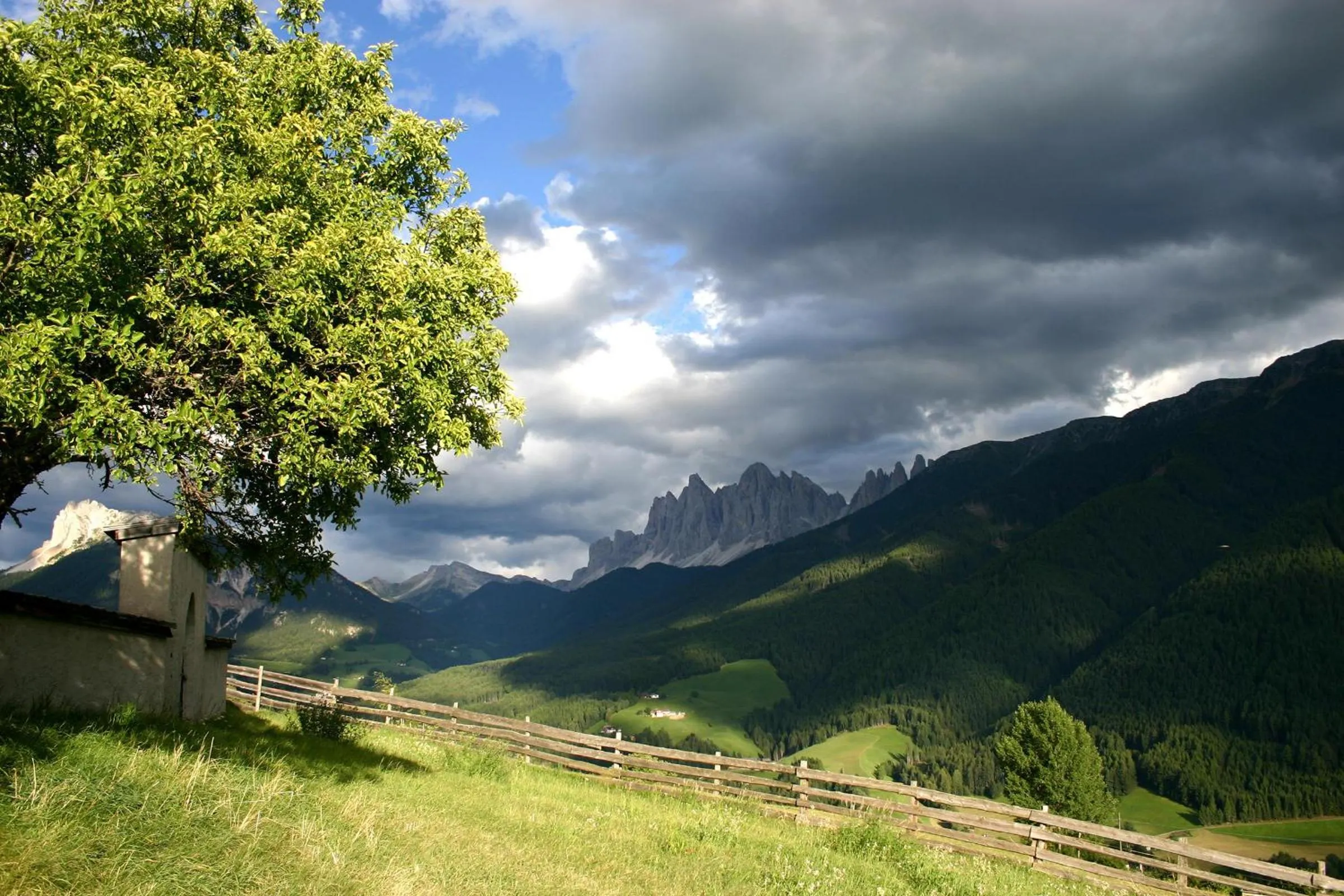 Area and facilities in Residence Töglhof