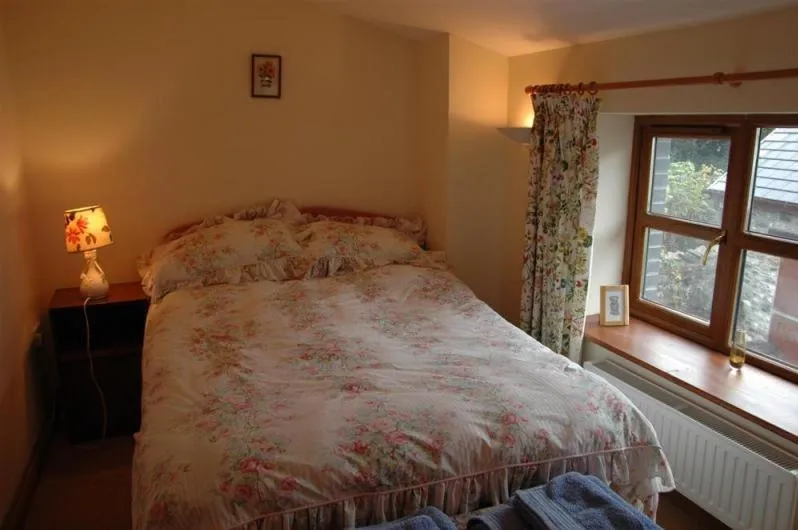 Bed in Neuadd Arms Hotel