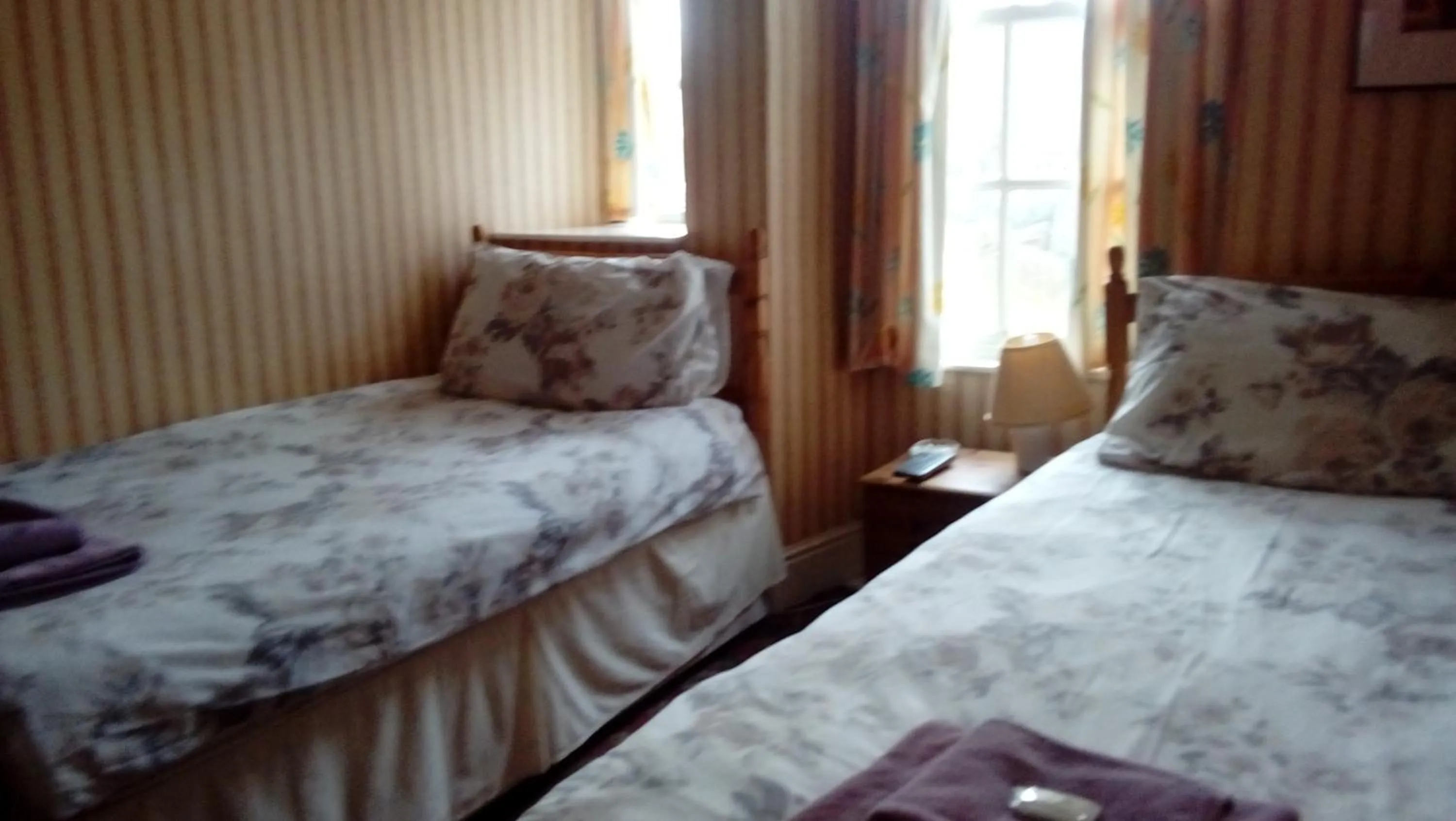Bed in Neuadd Arms Hotel
