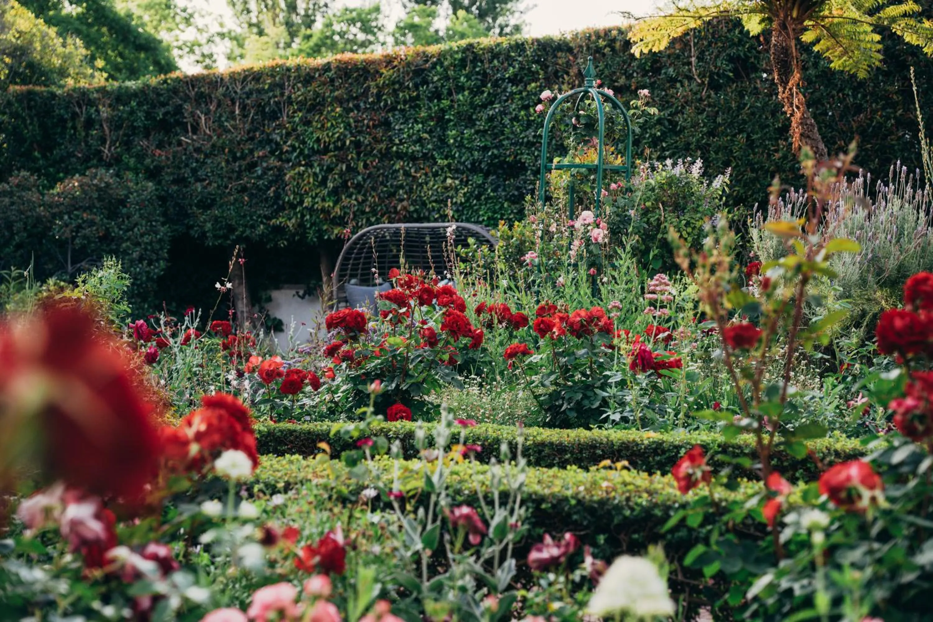 Garden in Les Chambres Guest House
