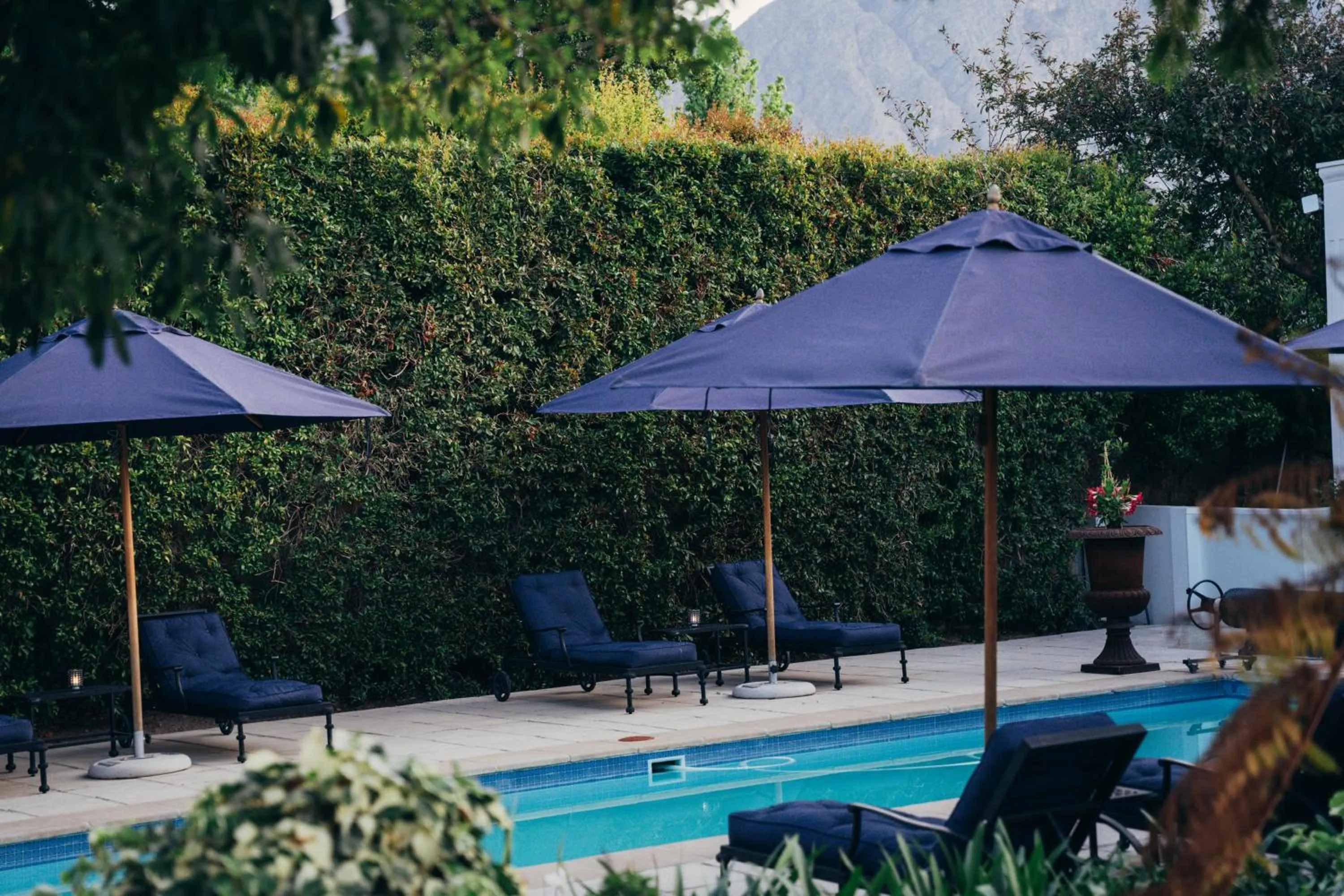 sunbed in Les Chambres Guest House