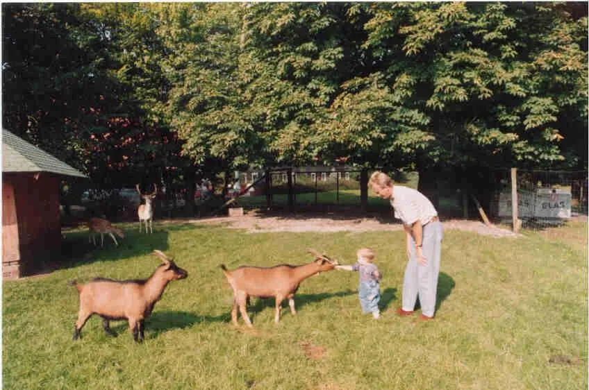 Day in Landhotel Meier Gresshoff