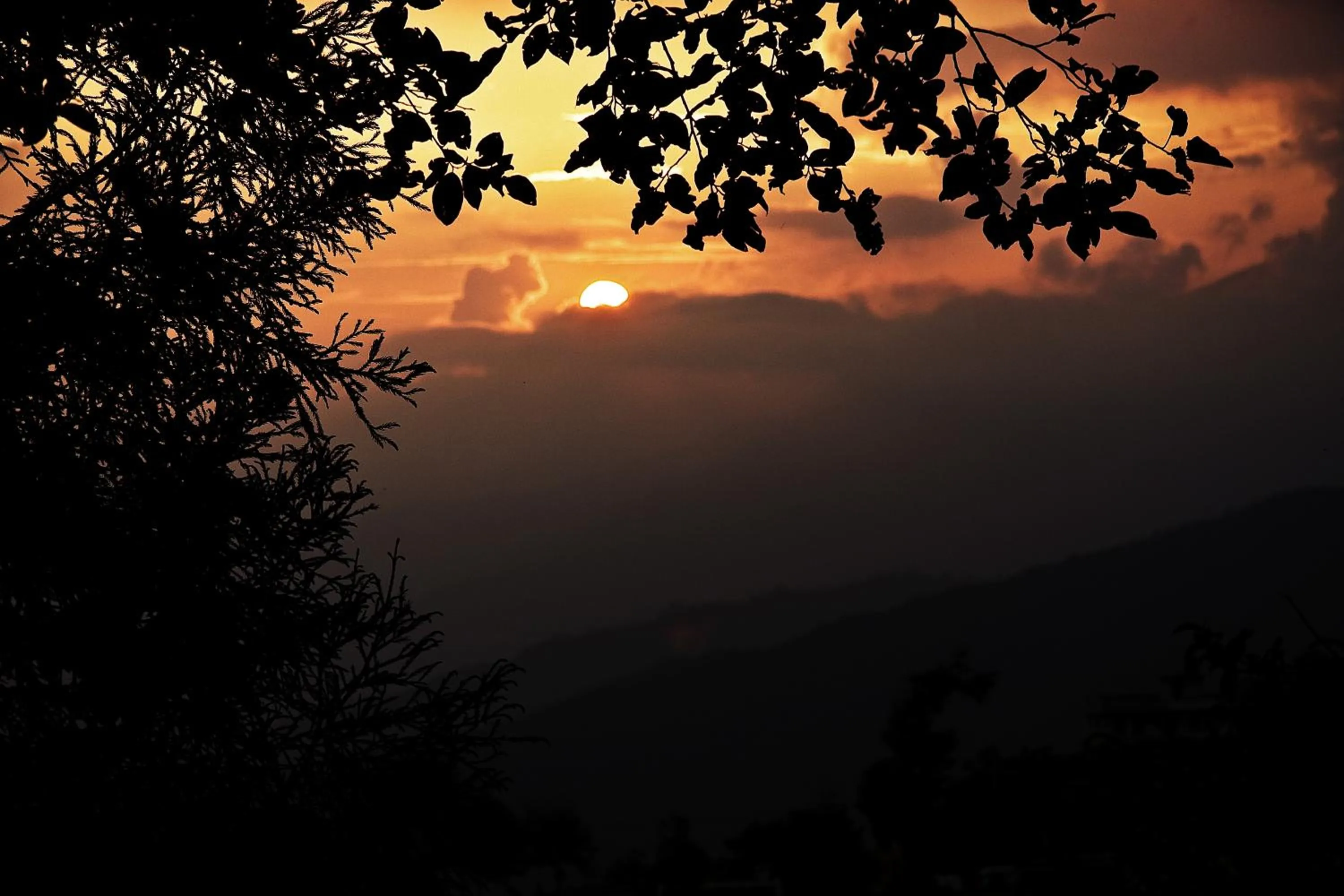 View (from property/room) in Club Himalaya, by ACE Hotels