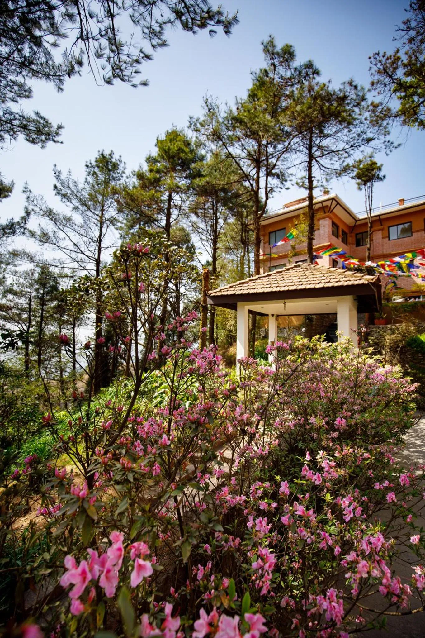 Spring in Club Himalaya, by ACE Hotels