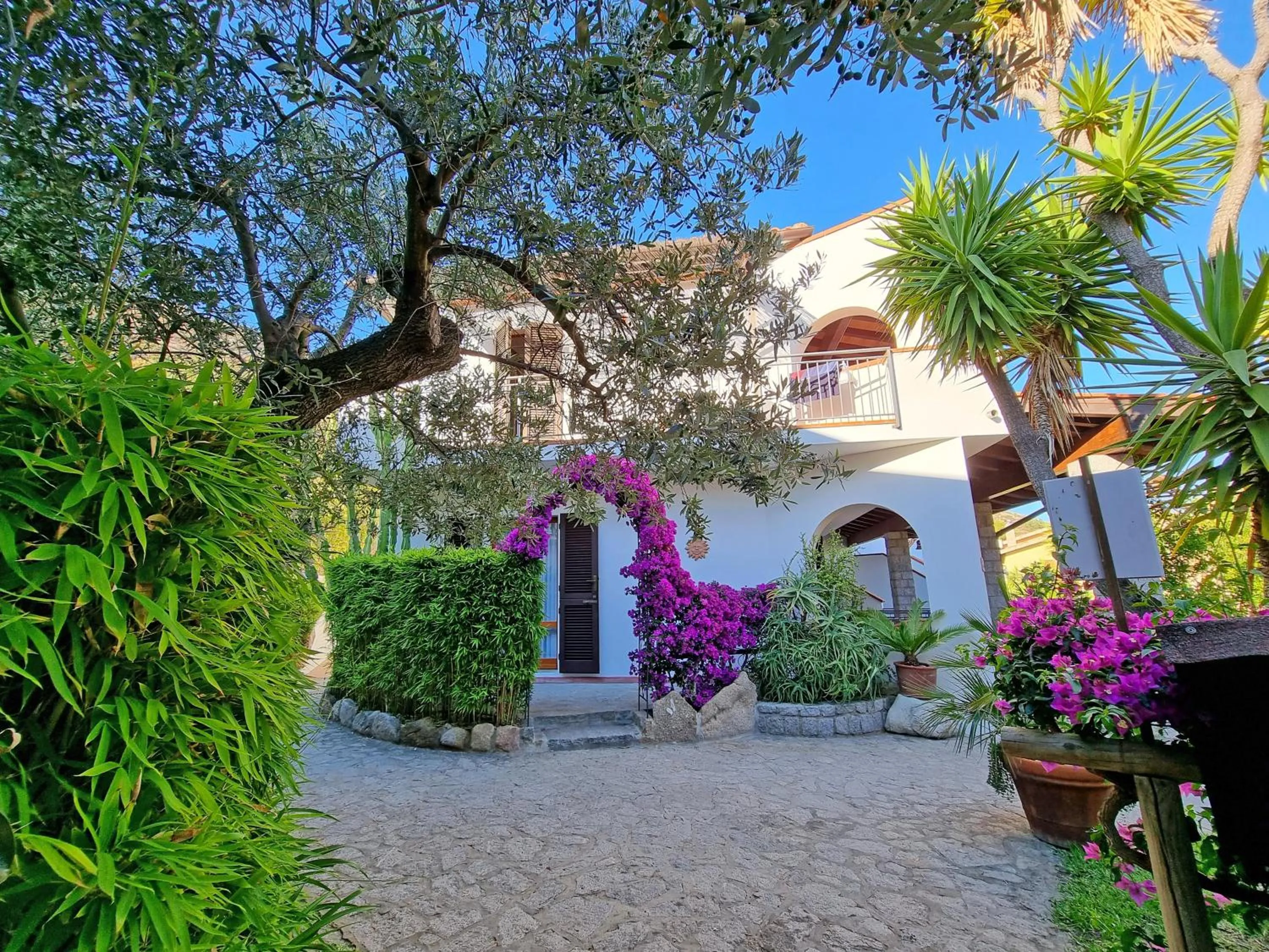 Garden in Eco Hotel Montemerlo