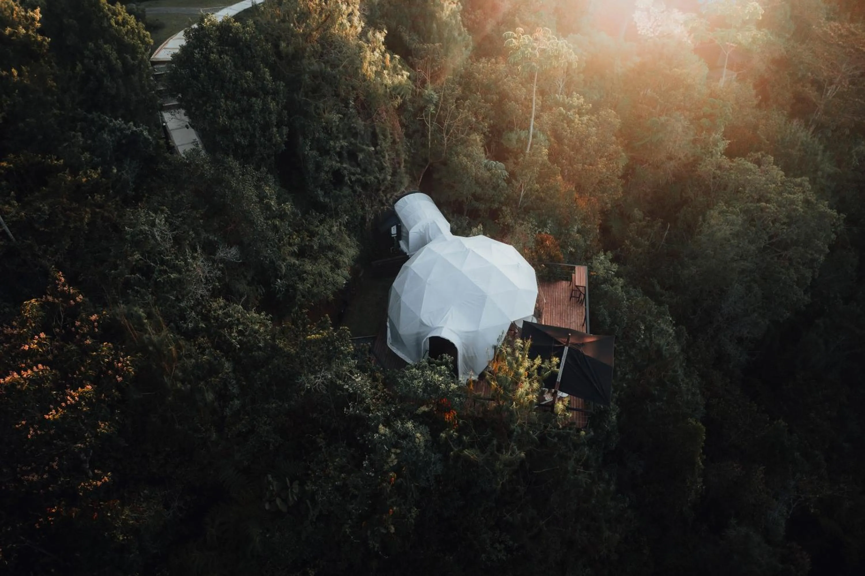 Photo of the whole room in Bosko