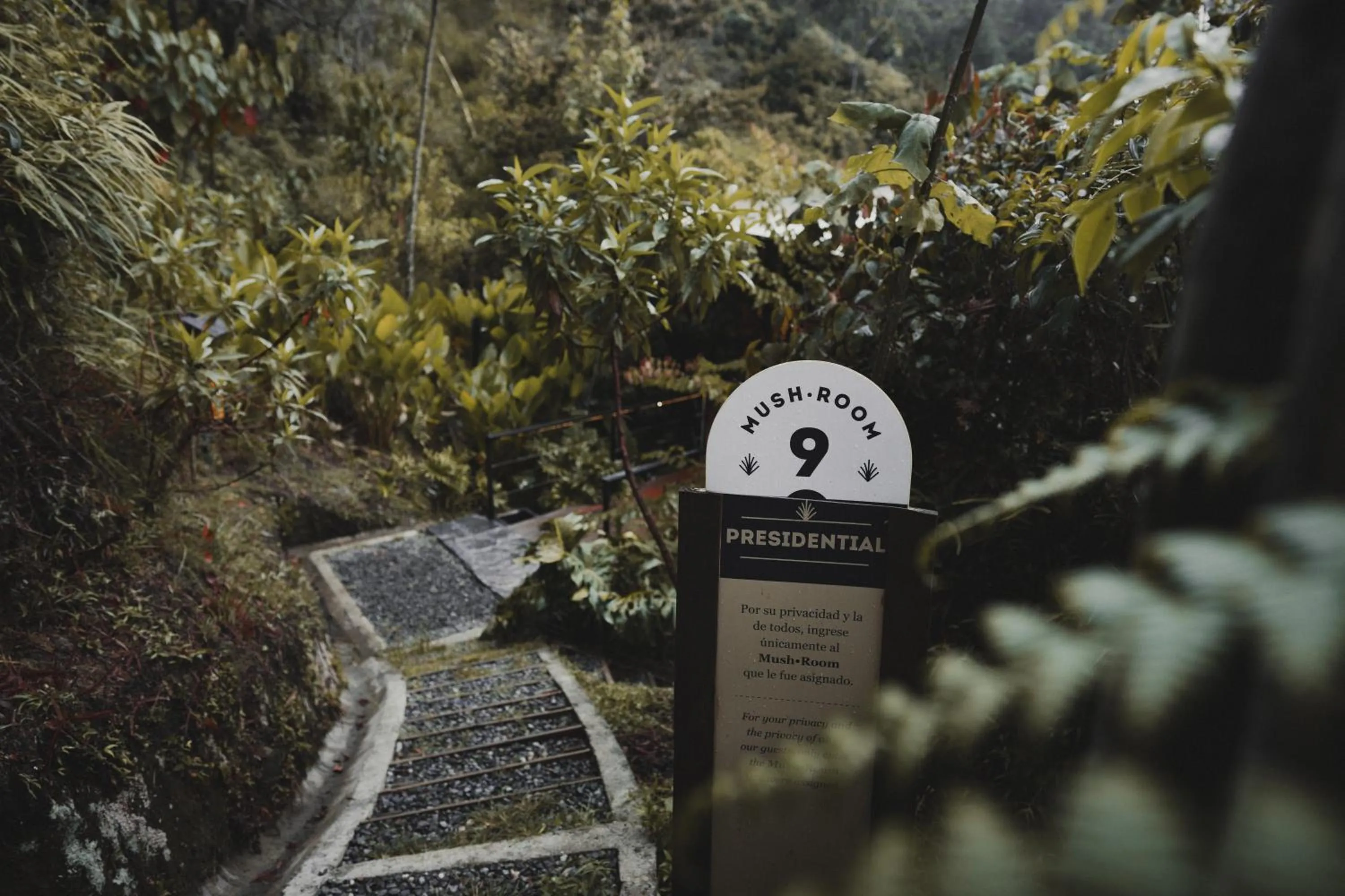 Facade/entrance in Bosko
