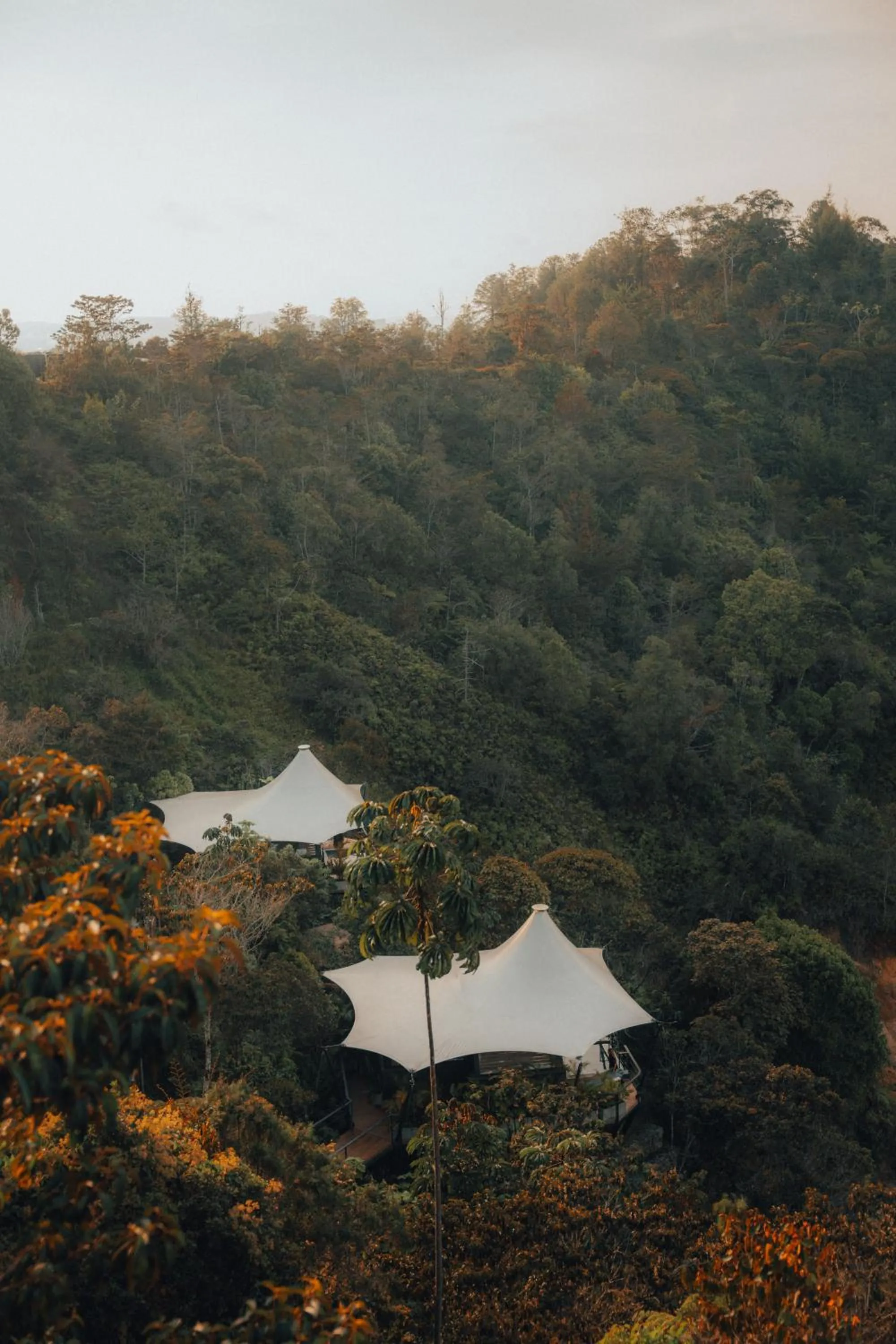 Bird's eye view in Bosko